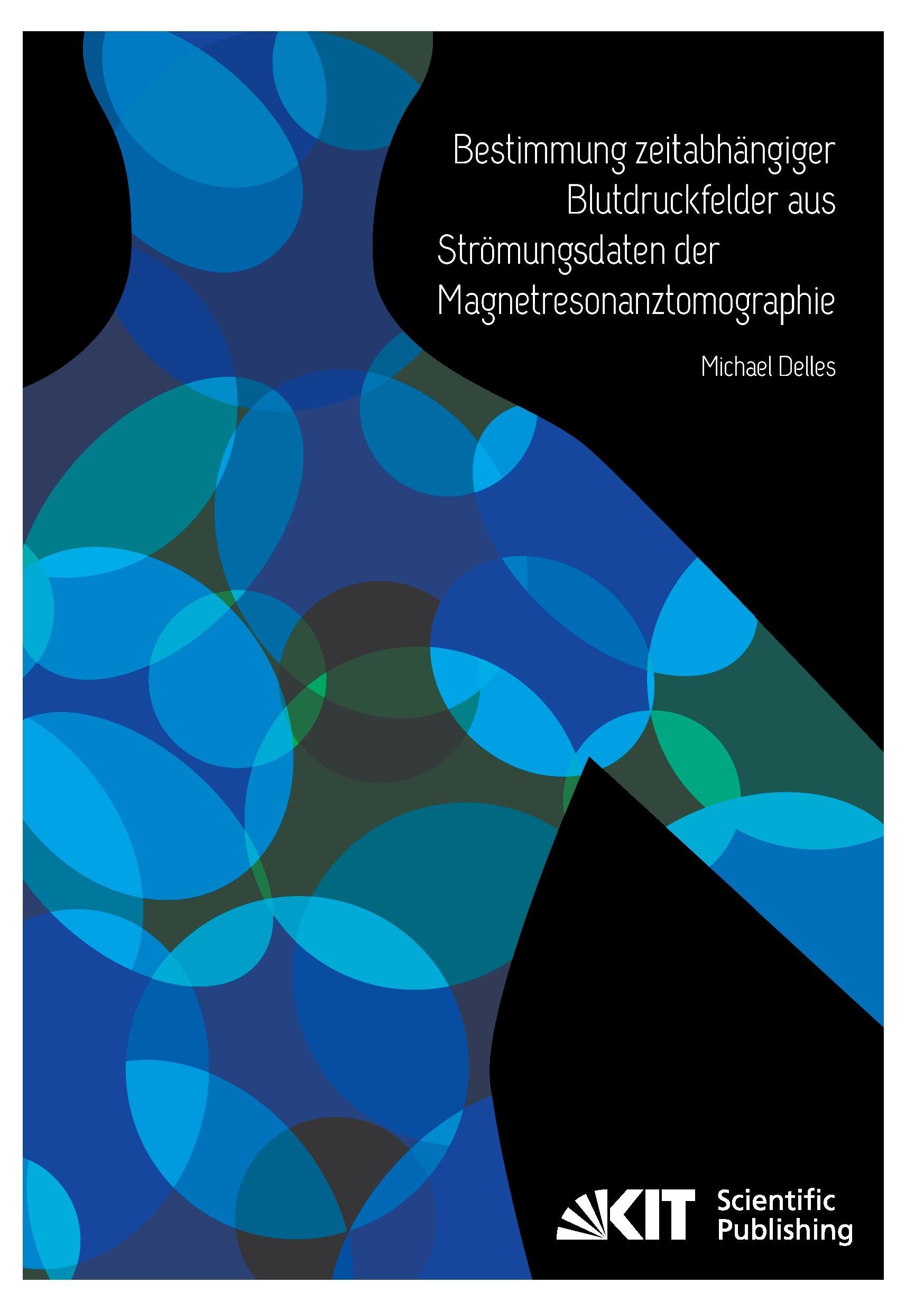 Vorderes Coverbild Bestimmung zeitabhängiger Blutdruckfelder aus Strömungsdaten der Magnetresonanztomographie