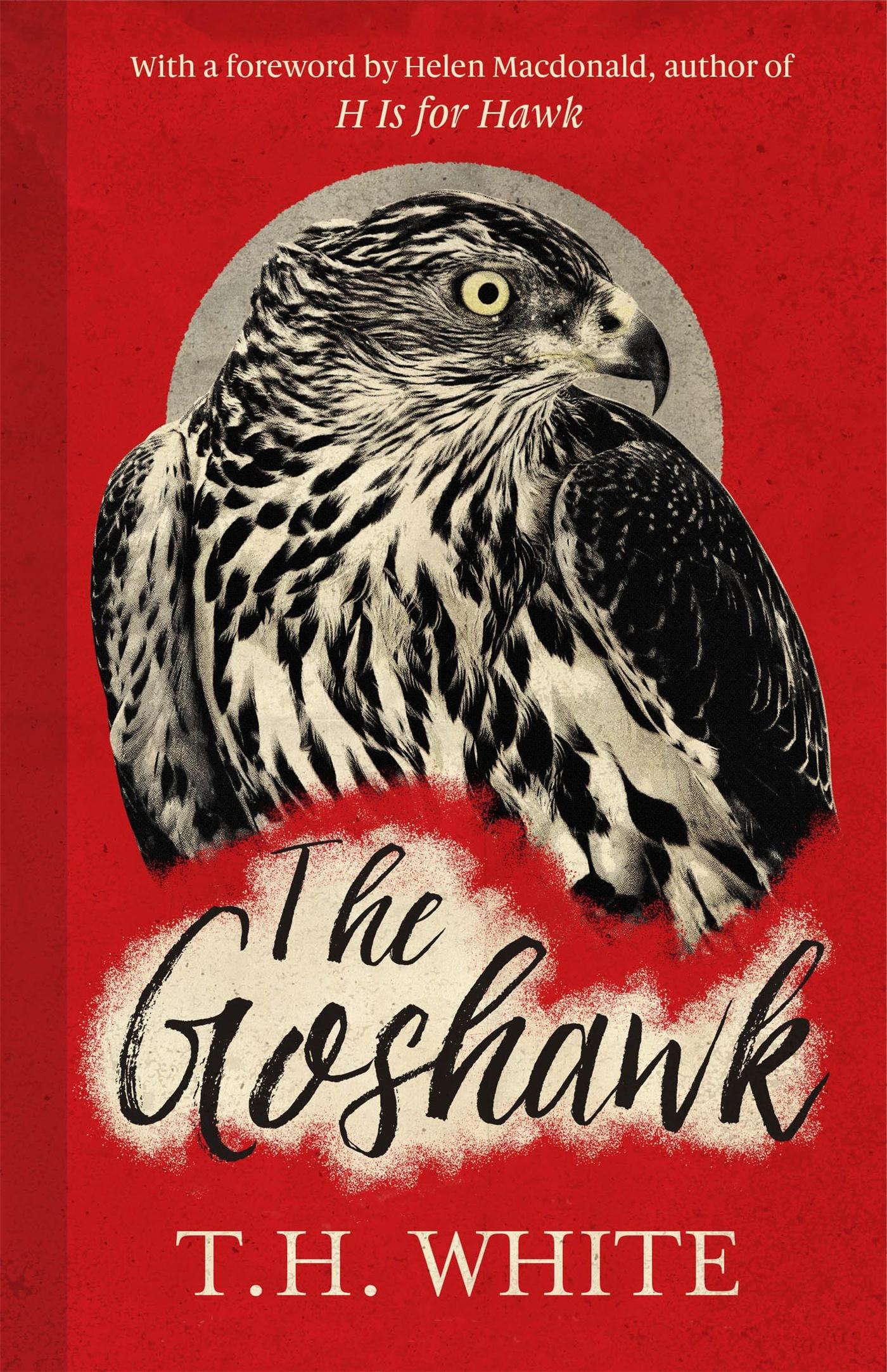 Vorderes Coverbild The Goshawk