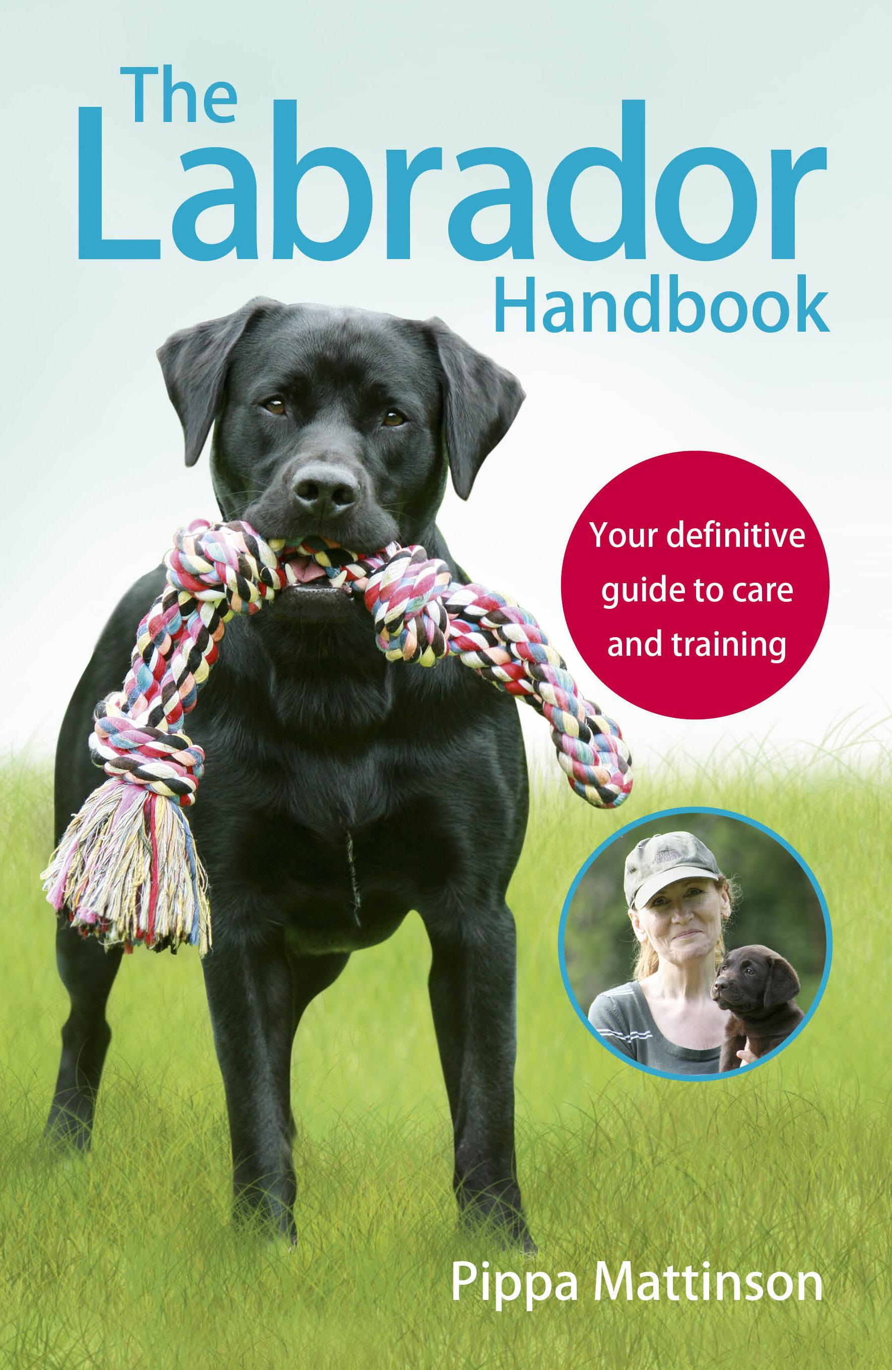 Vorderes Coverbild The Labrador Handbook
