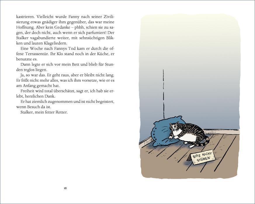 Beispielinhalt (Bild) Katzentreffen