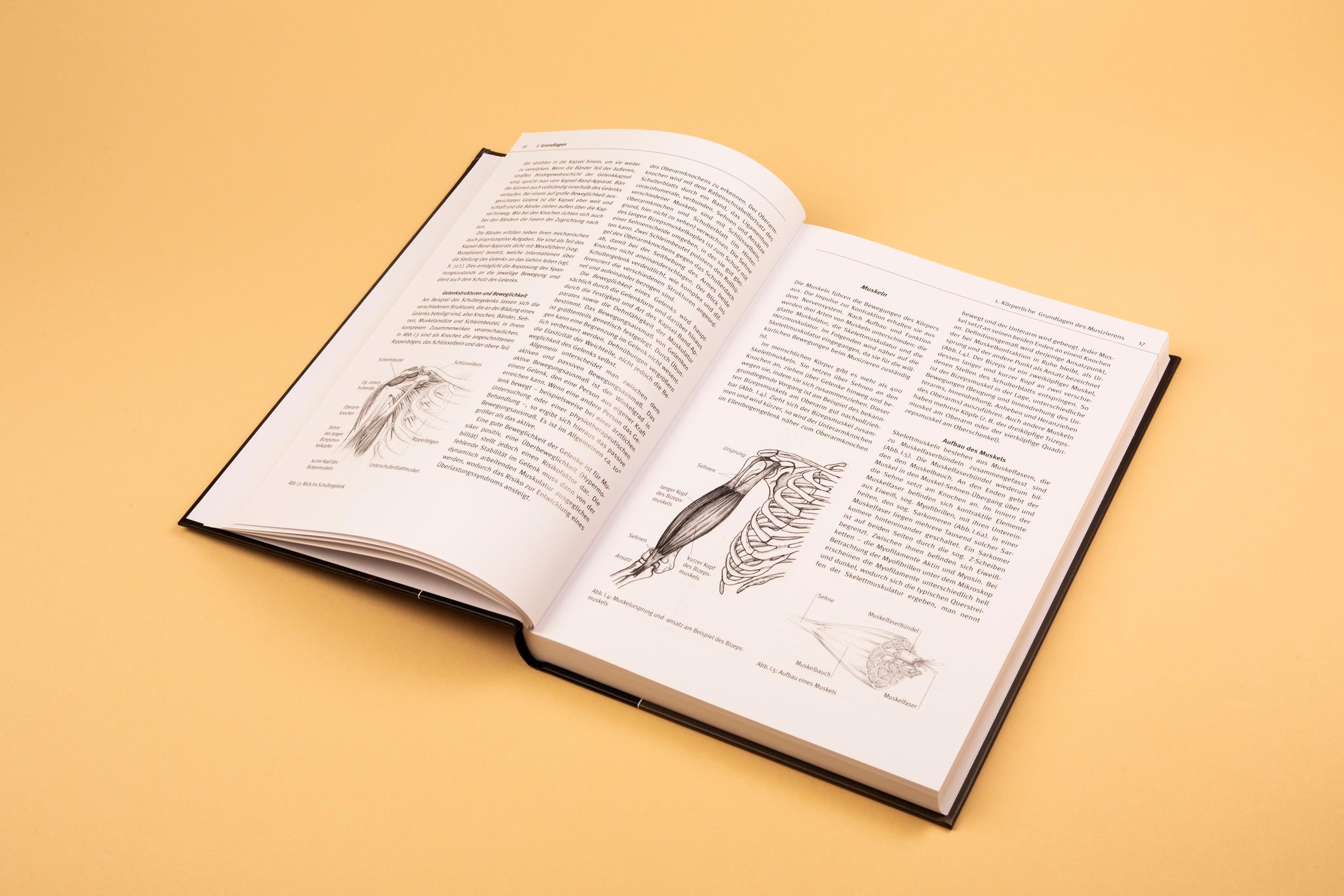 Beispielinhalt (Bild) Musikergesundheit in der Praxis