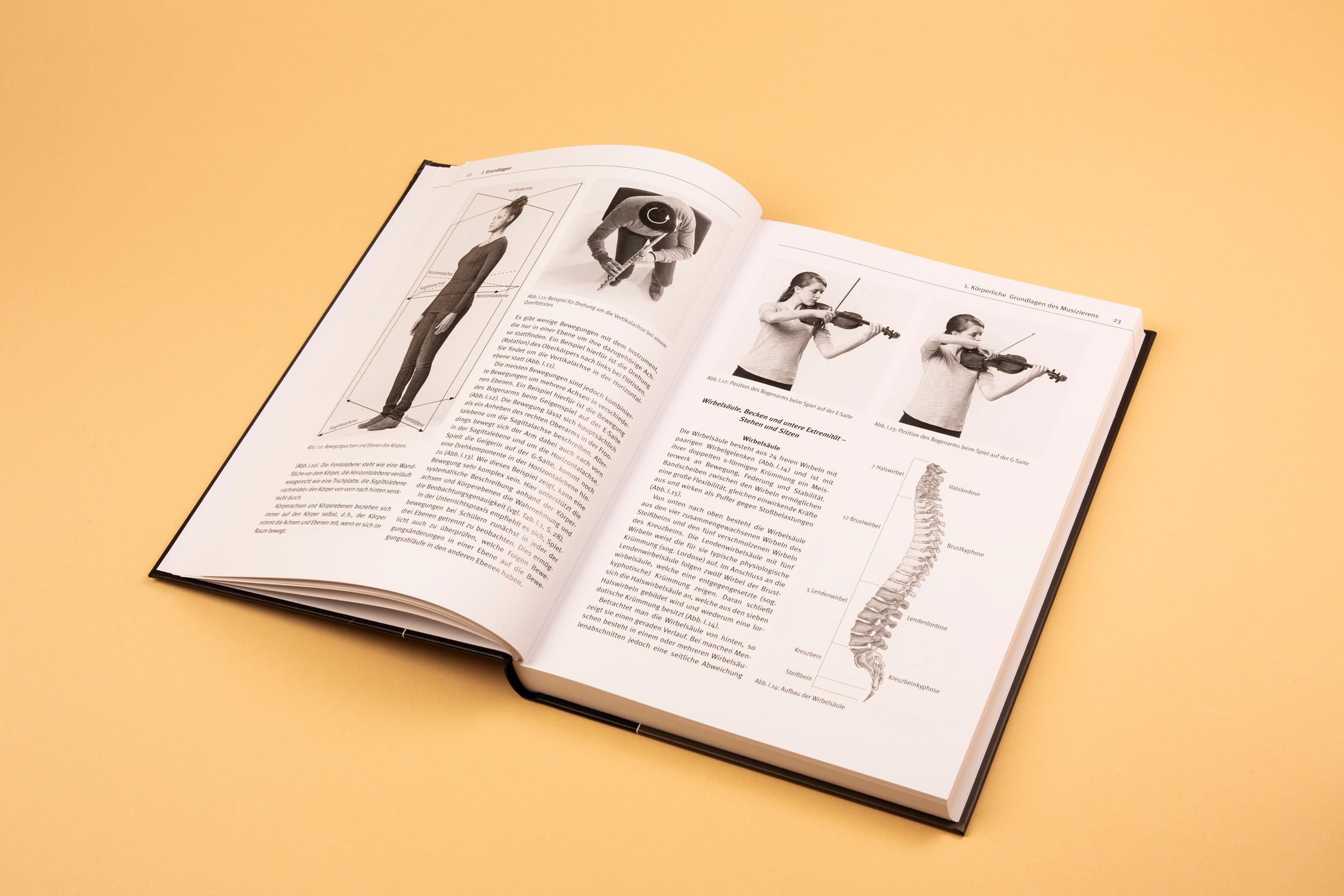 Beispielinhalt (Bild) Musikergesundheit in der Praxis