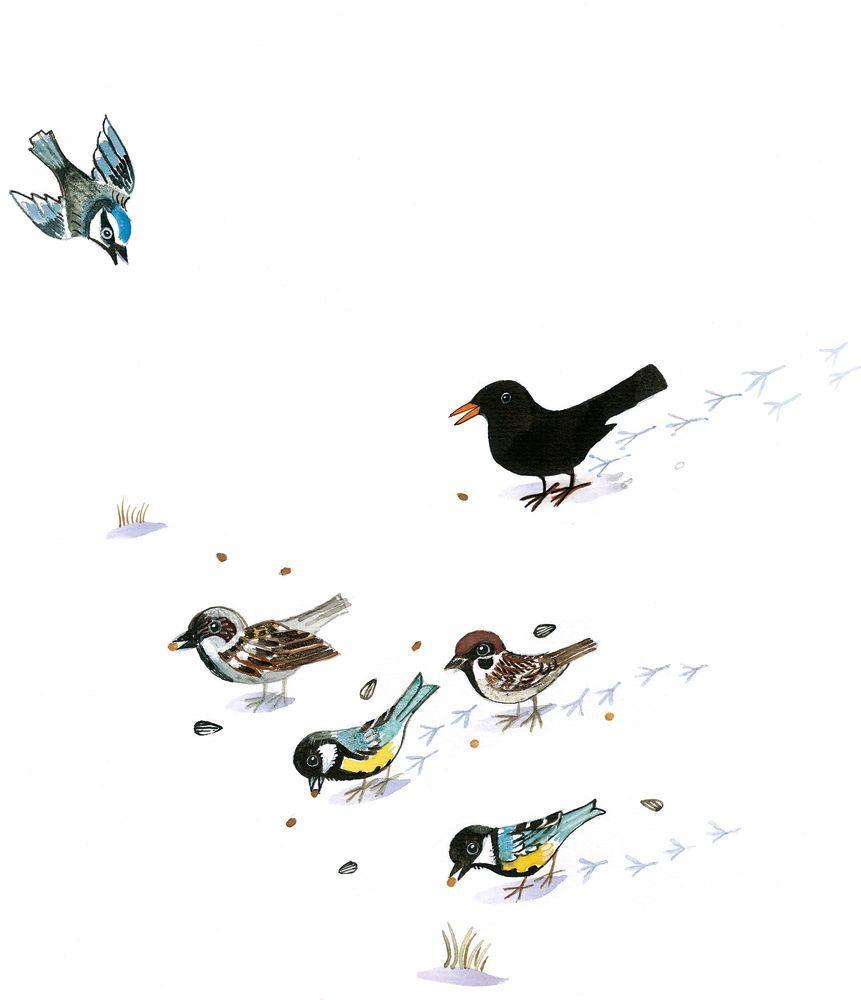 Beispielinhalt (Bild) So ist der Winter