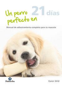 Vorderes Coverbild Un perro perfecto en 21 días