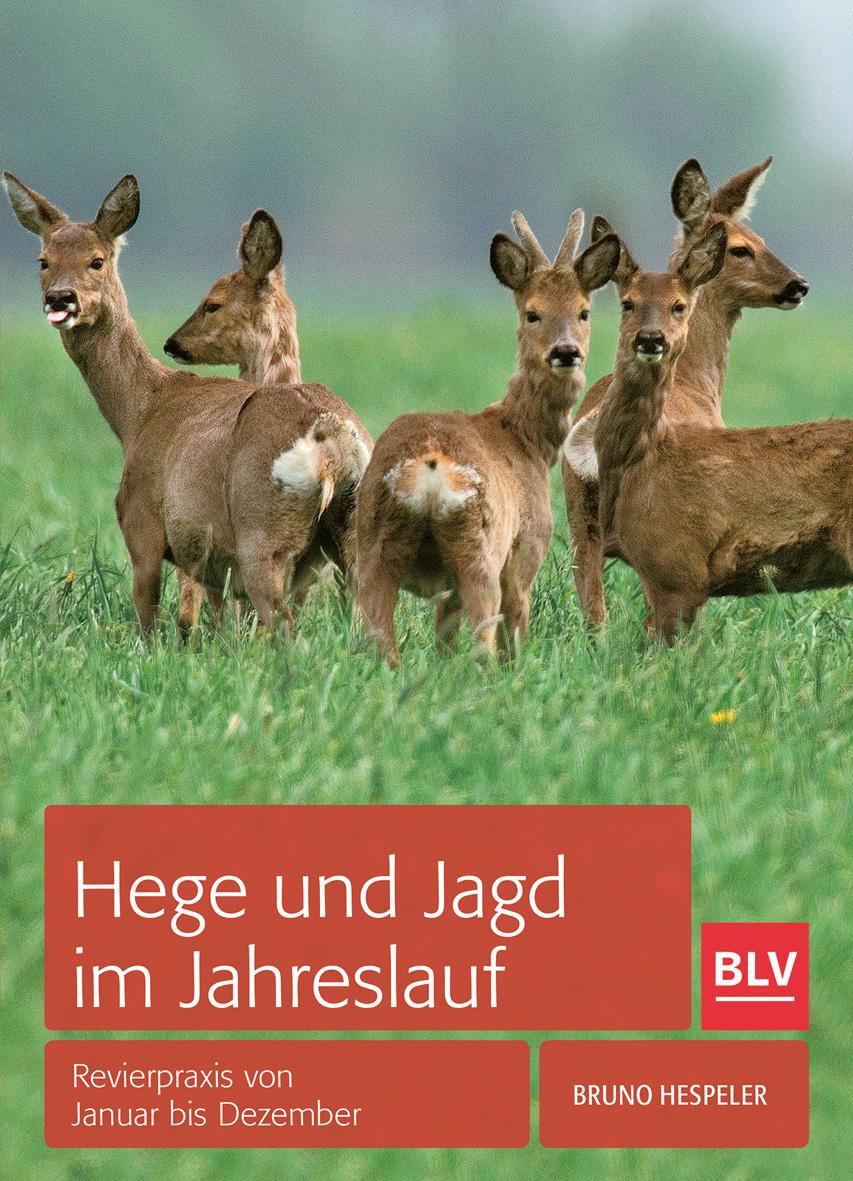 Vorderes Coverbild Hege und Jagd im Jahreslauf