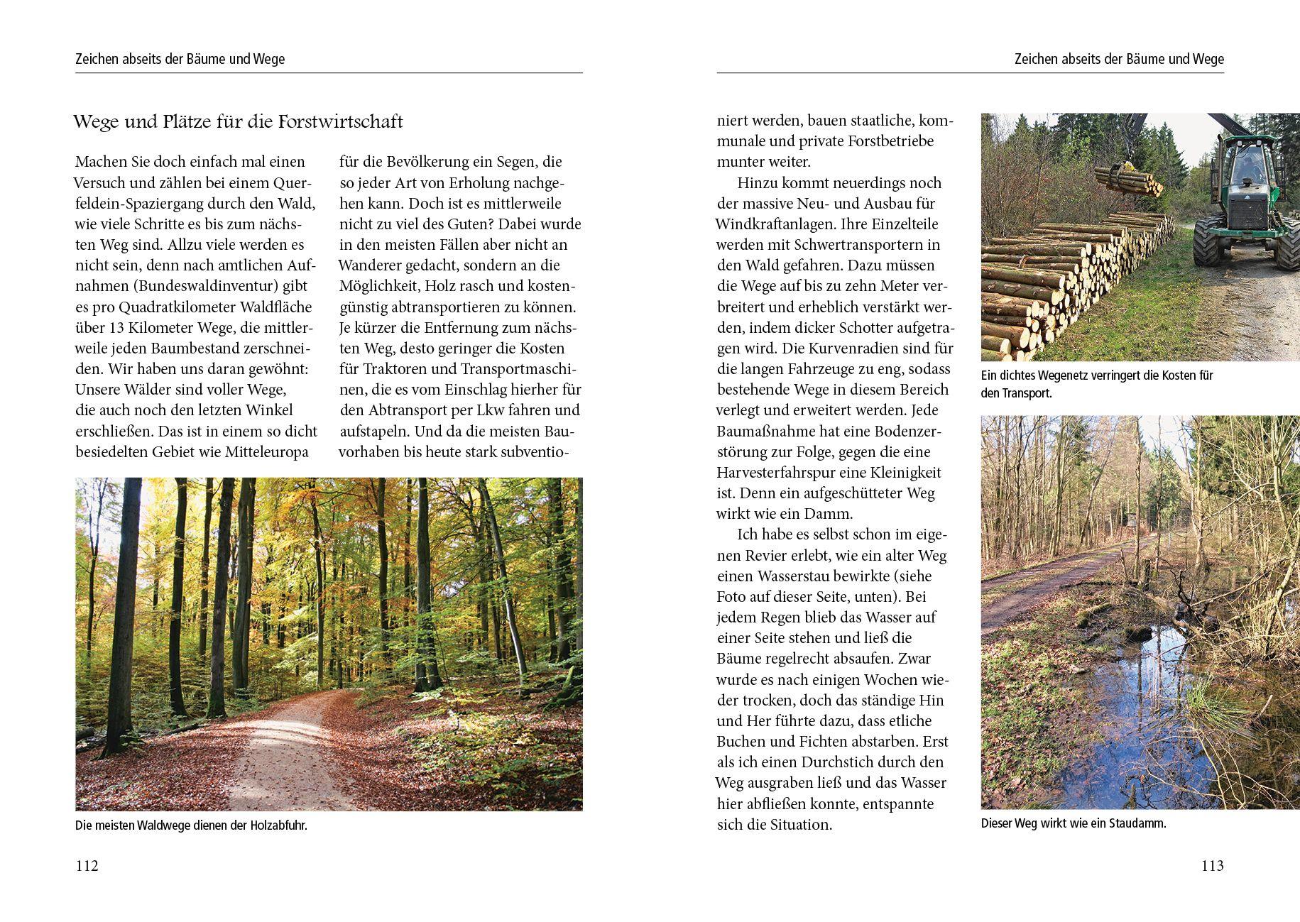 Beispielinhalt (Bild) Menschenspuren im Wald