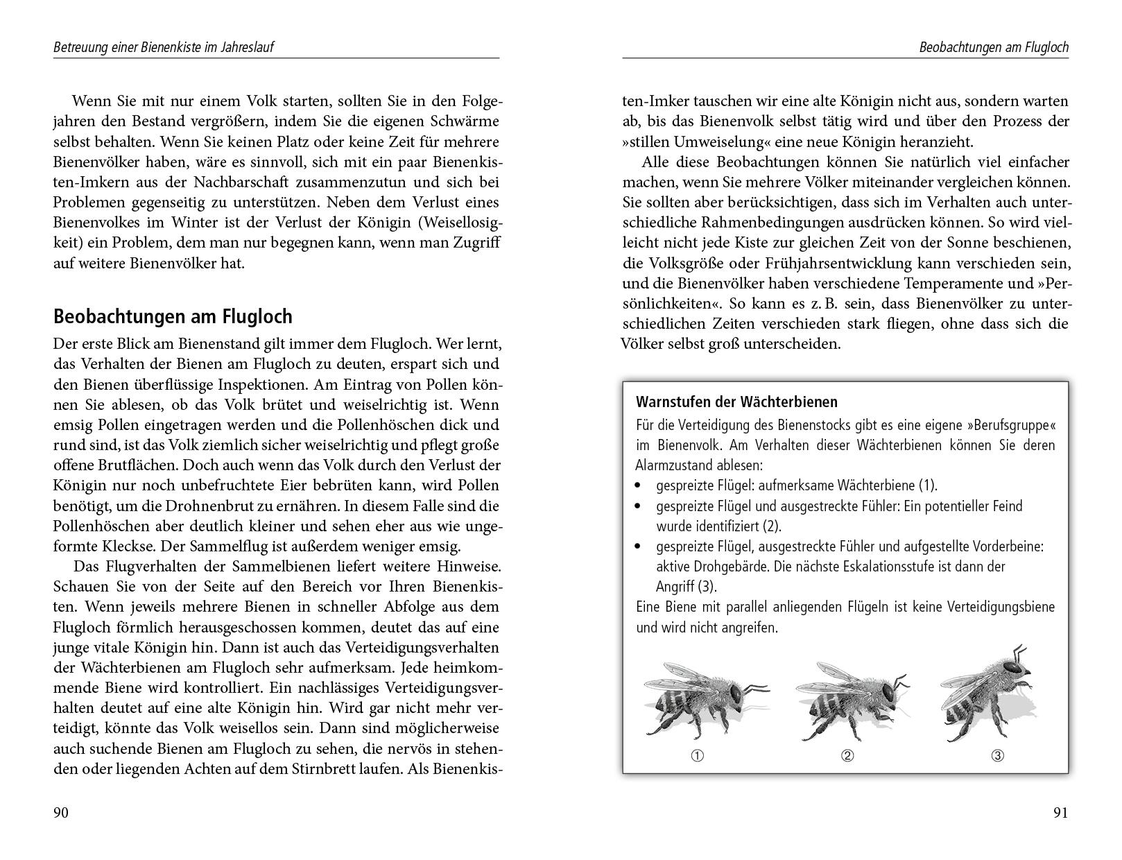 Beispielinhalt (Bild) Wesensgemäße Bienenhaltung in der Bienenkiste