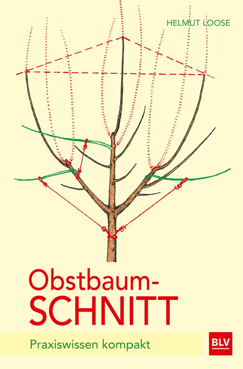 Vorderes Coverbild Obstbaumschnitt