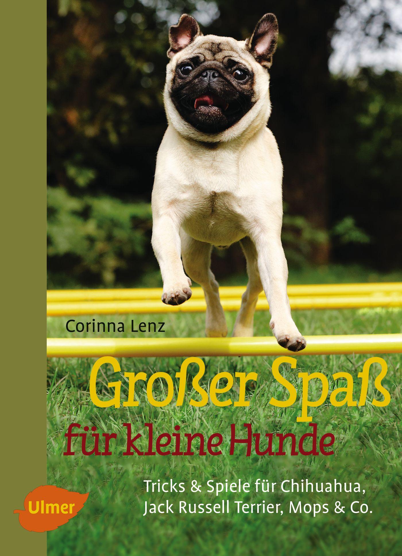 Vorderes Coverbild Großer Spaß für kleine Hunde