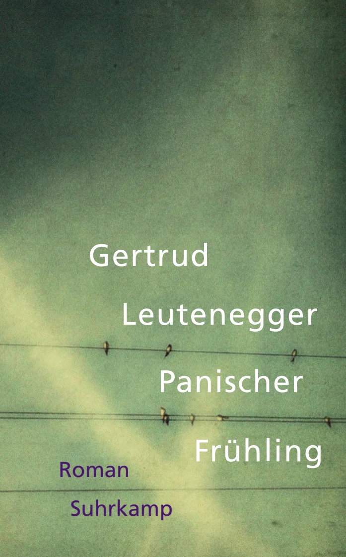 Vorderes Coverbild Panischer Frühling