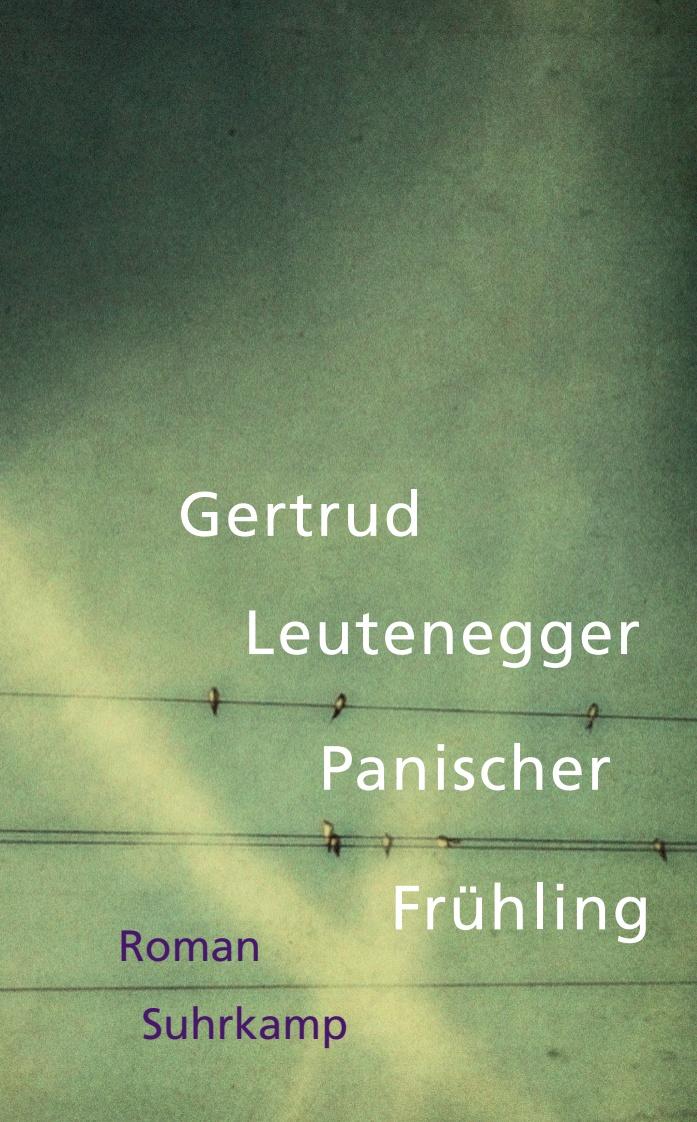 Vorderes Coverbild Panischer Frühling