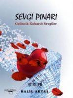 Vorderes Coverbild Sevgi Pinari