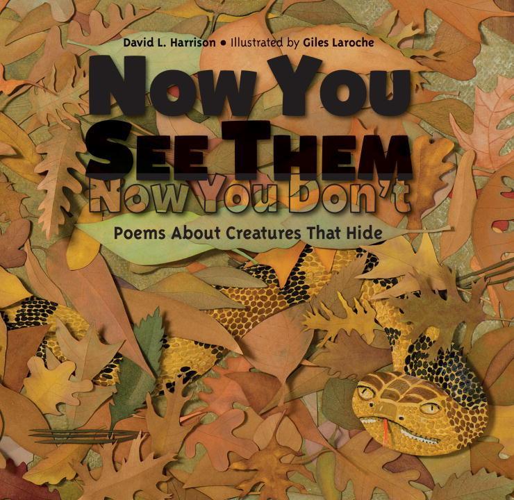 Vorderes Coverbild Now You See Them, Now You Don't