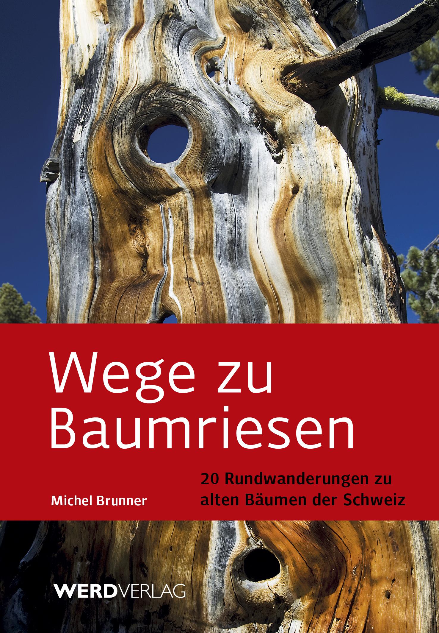 Vorderes Coverbild Wege zu Baumriesen