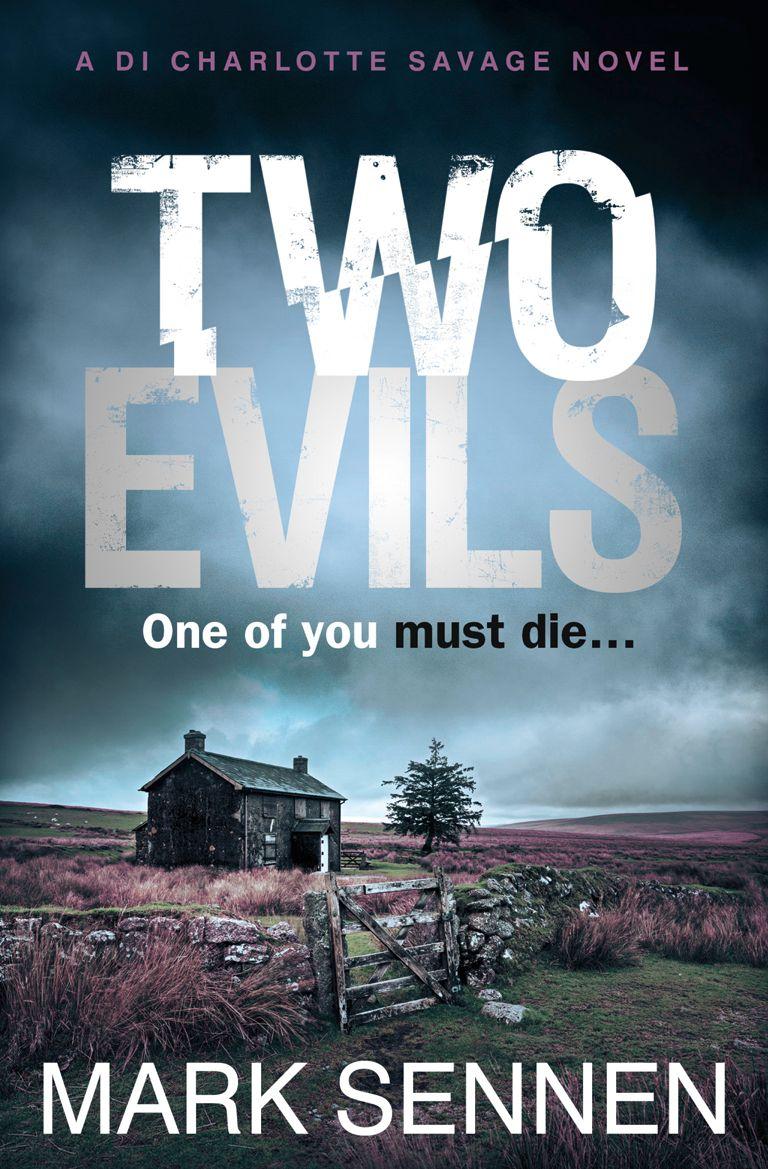 Vorderes Coverbild Two Evils