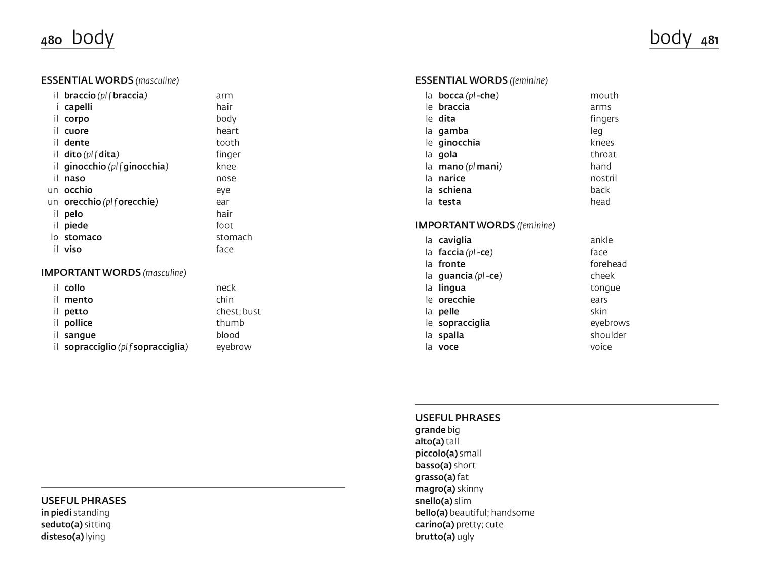 Beispielinhalt (Bild) Complete Italian Grammar Verbs Vocabulary