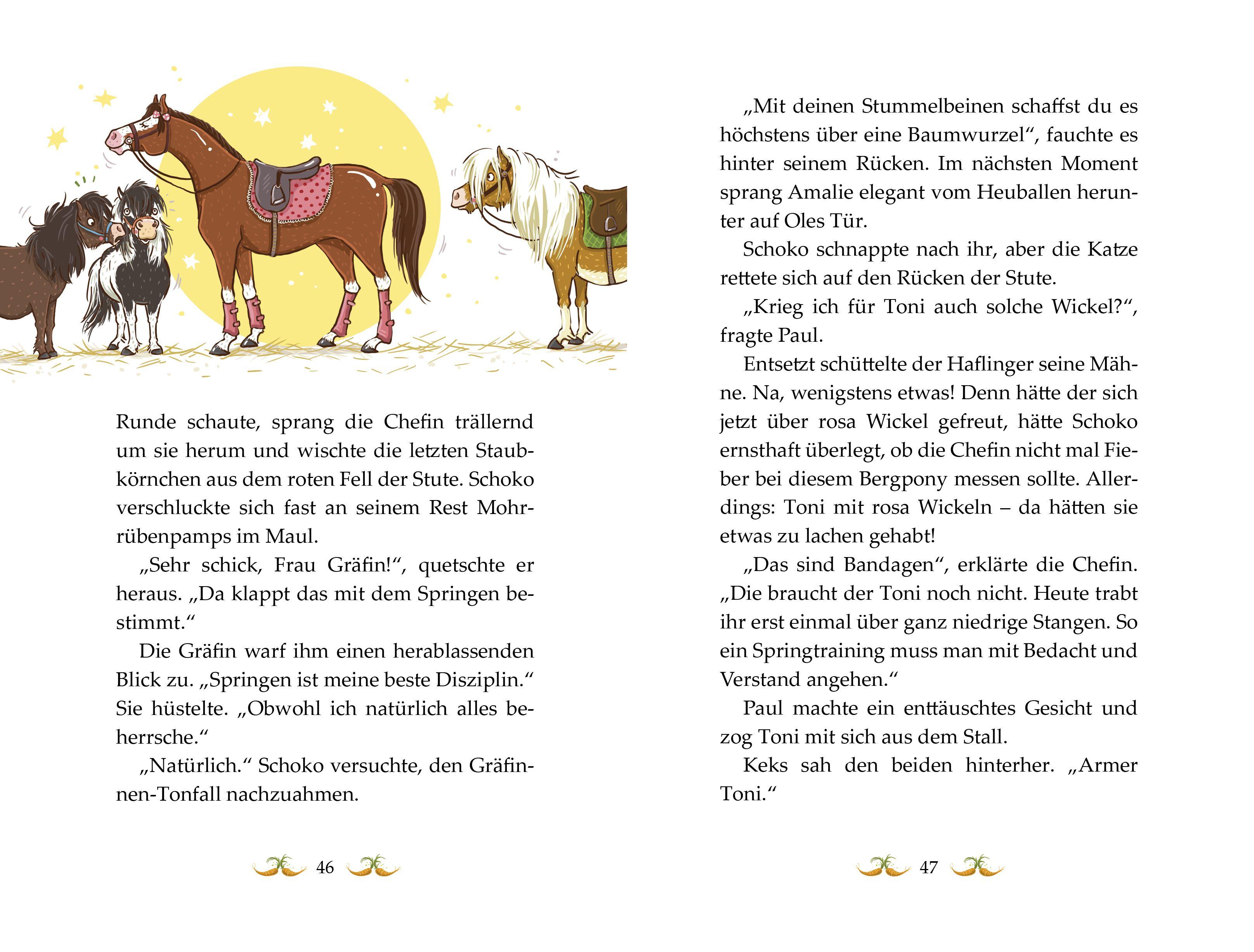 Beispielinhalt (Bild) Die Haferhorde 03 - Immer den Nüstern nach!