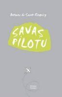 Vorderes Coverbild Savas Pilotu