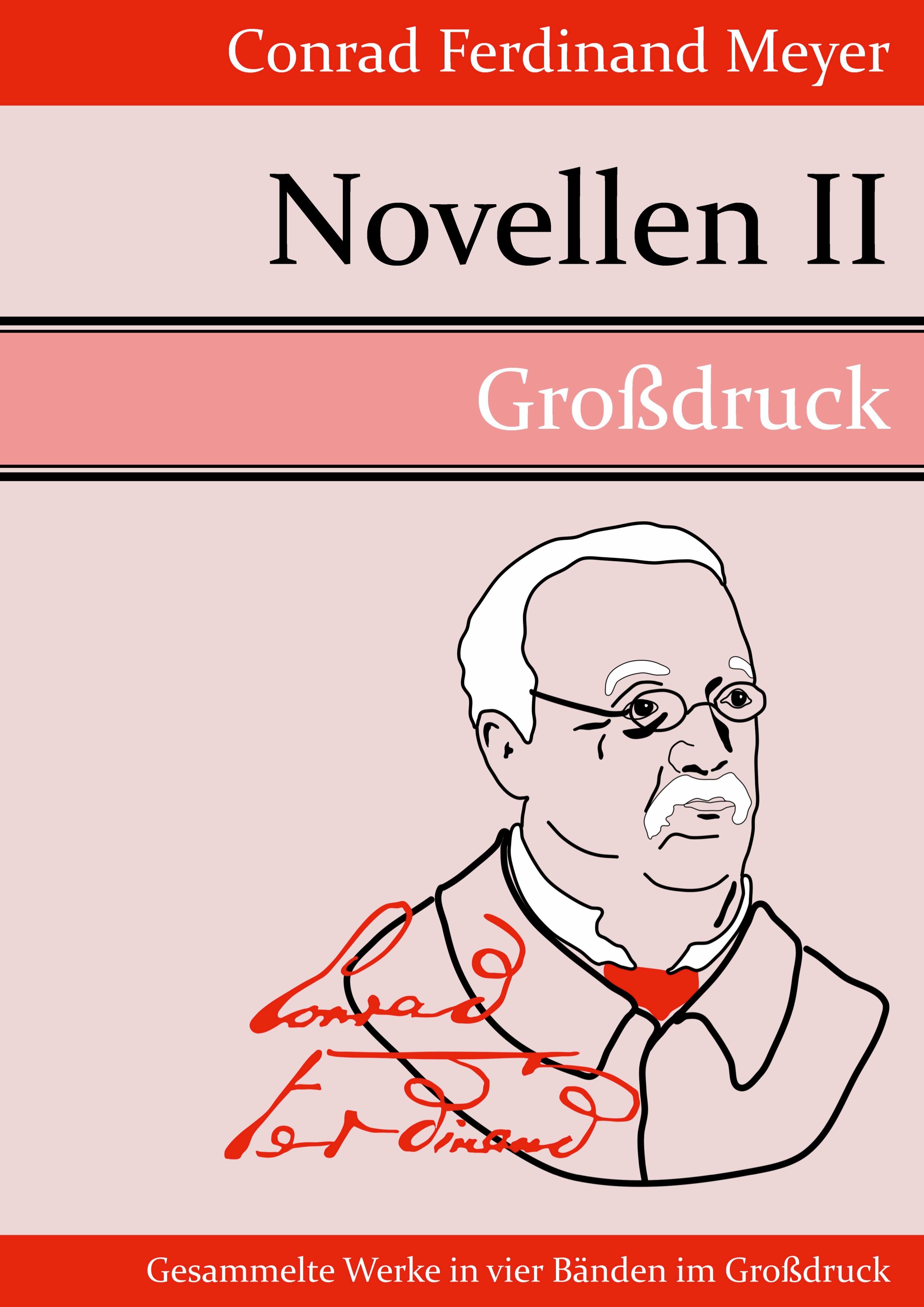 Vorderes Coverbild Novellen II (Großdruck)