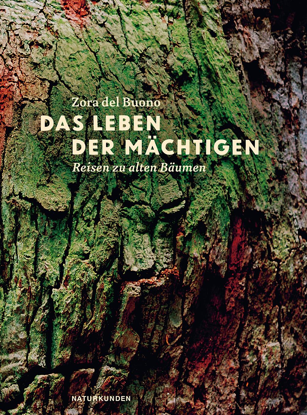 Vorderes Coverbild Das Leben der Mächtigen