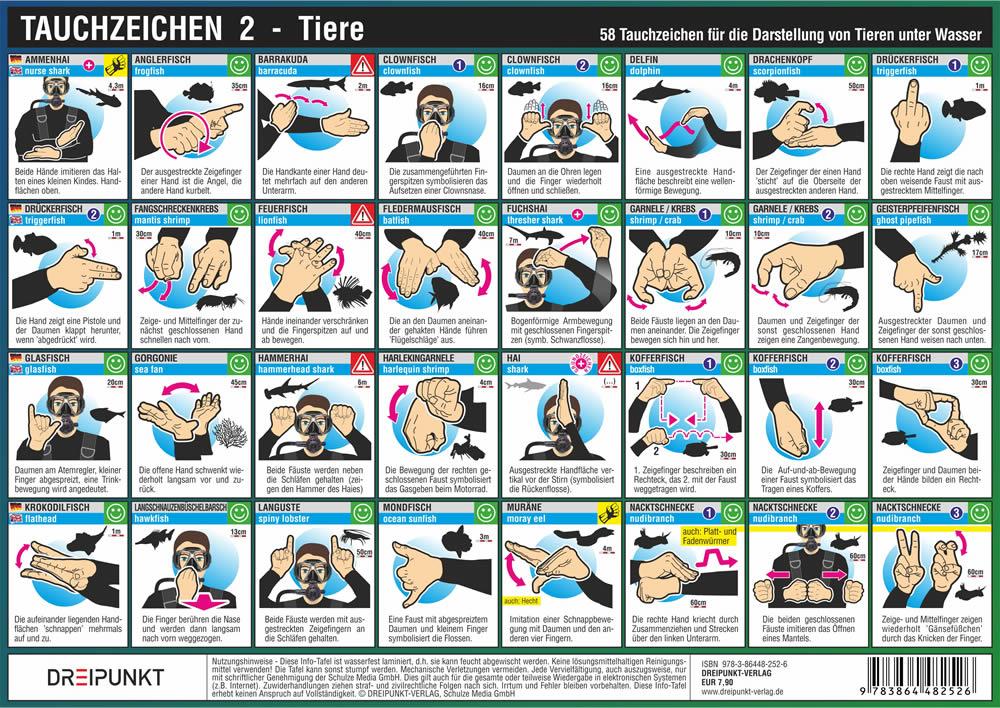 Beispielinhalt (Bild) Info-Tafel-Set Tauchzeichen