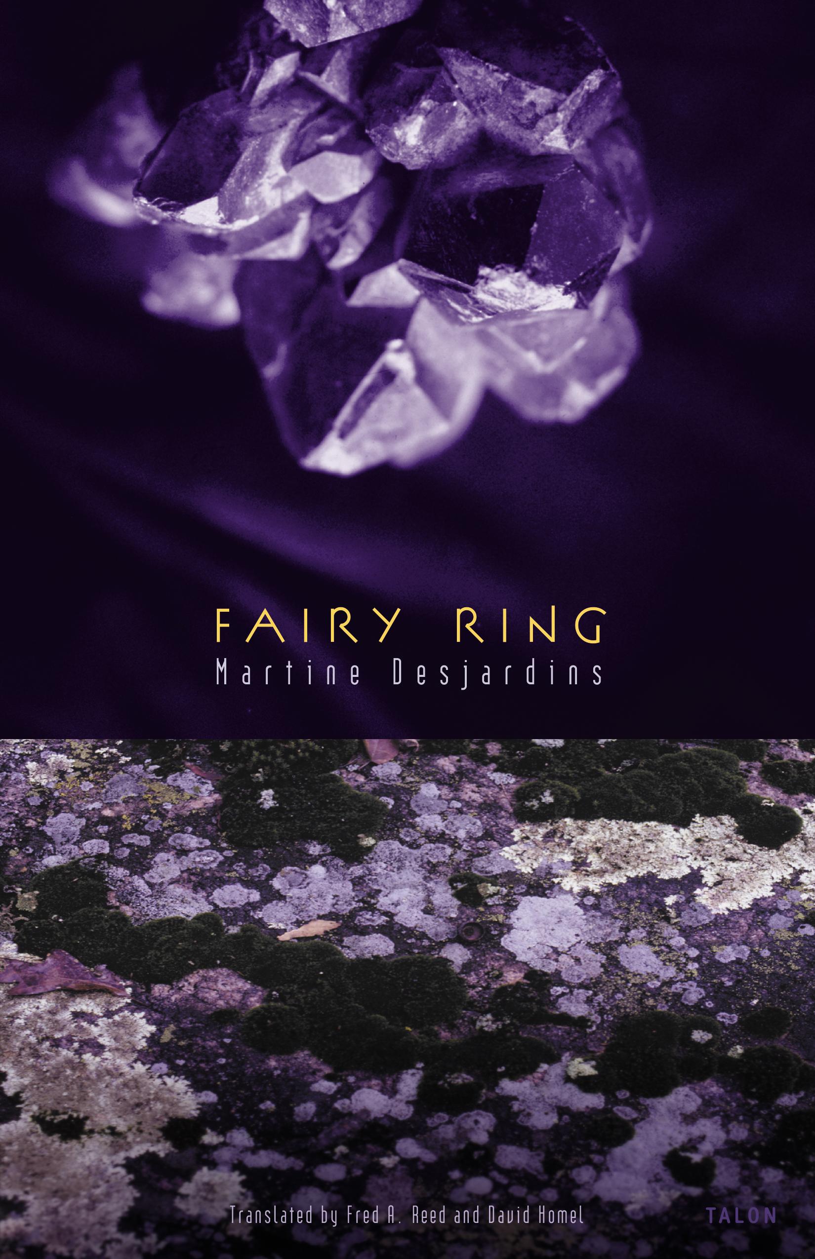 Vorderes Coverbild Fairy Ring