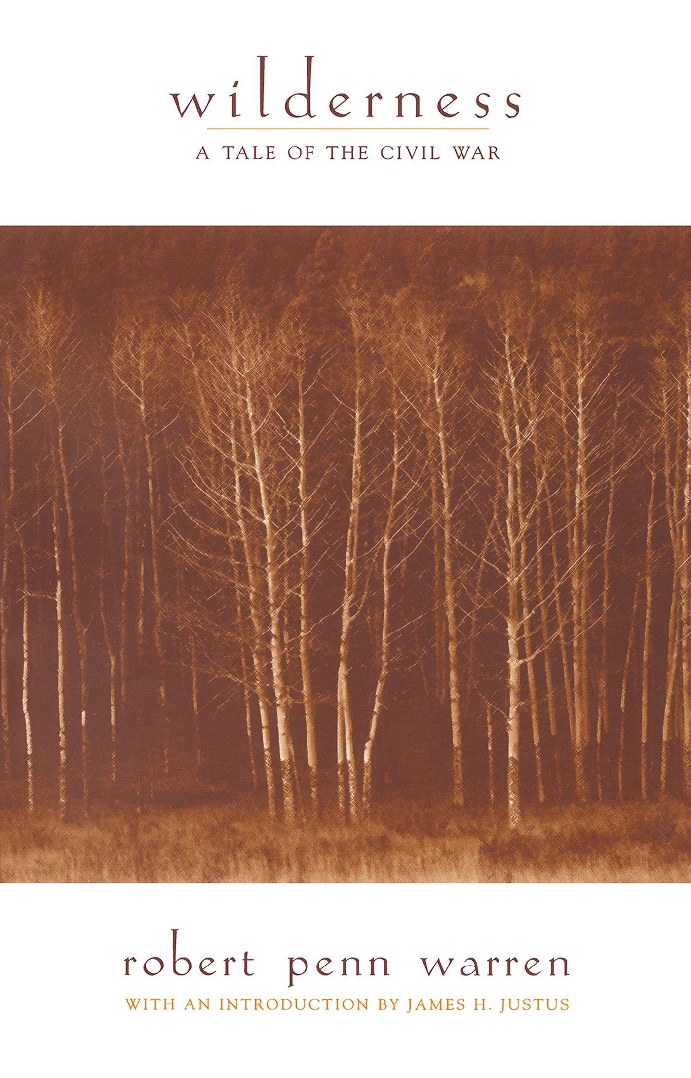Vorderes Coverbild Wilderness