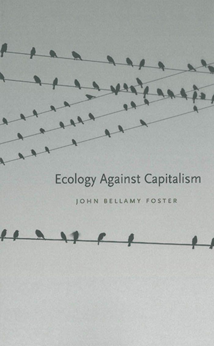 Vorderes Coverbild Ecology Against Capitalism