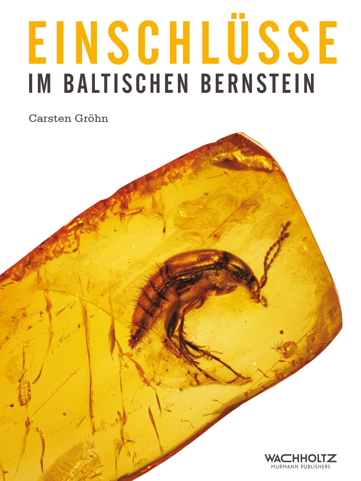 Vorderes Coverbild Einschlüsse im baltischen Bernstein