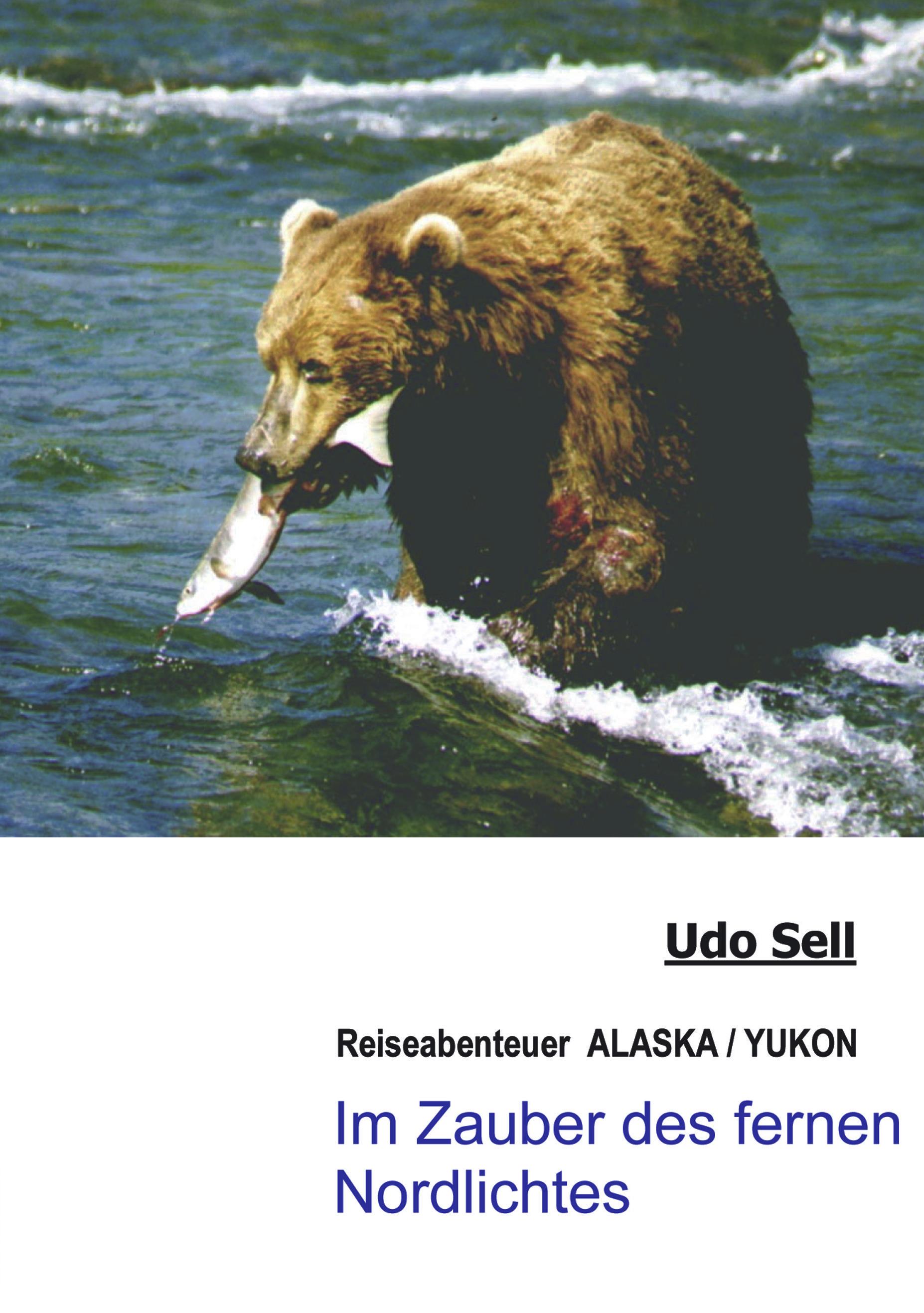 Vorderes Coverbild Im Zauber des fernen Nordlichtes