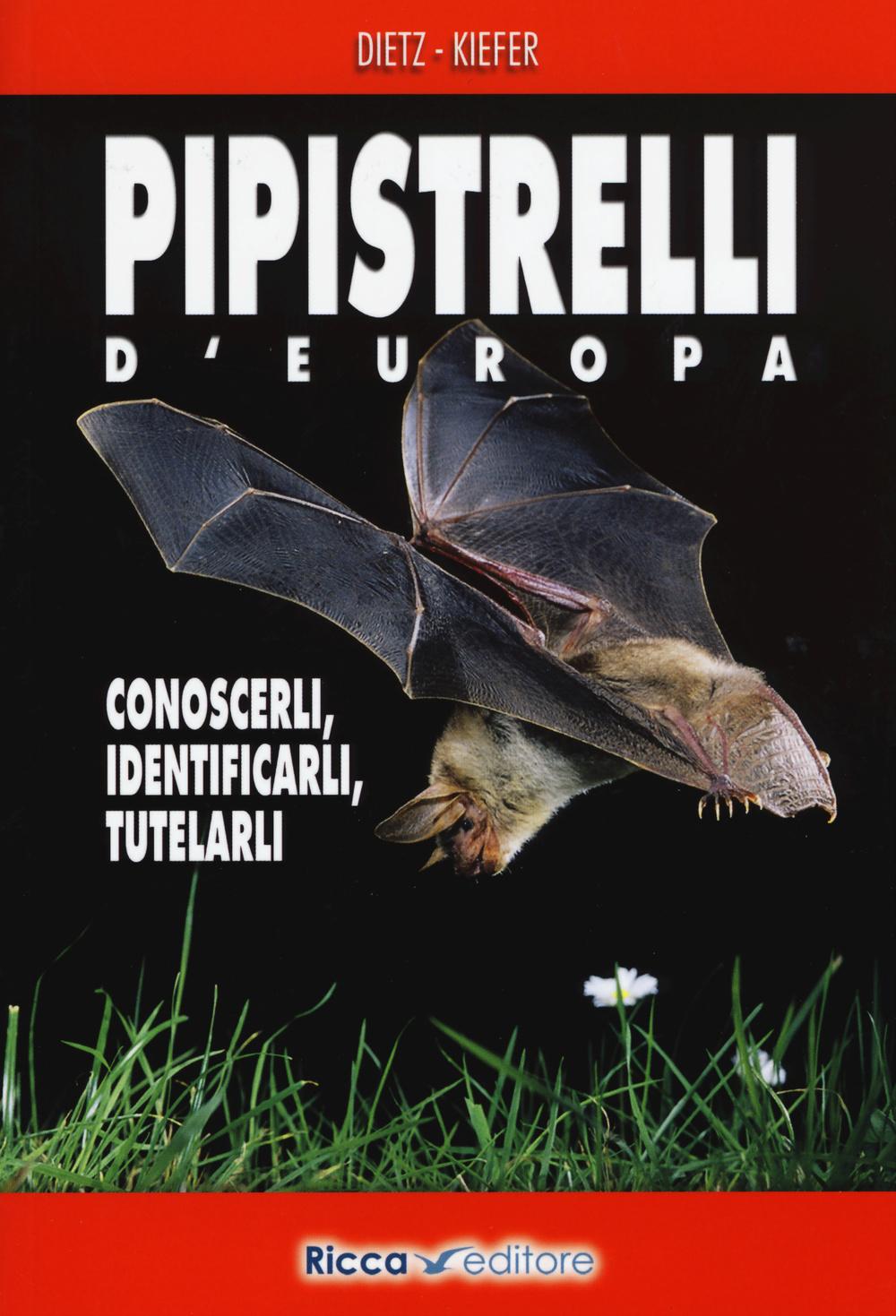 Vorderes Coverbild Pipistrelli d'Europa. Conoscerli, identificarli, tutelarli