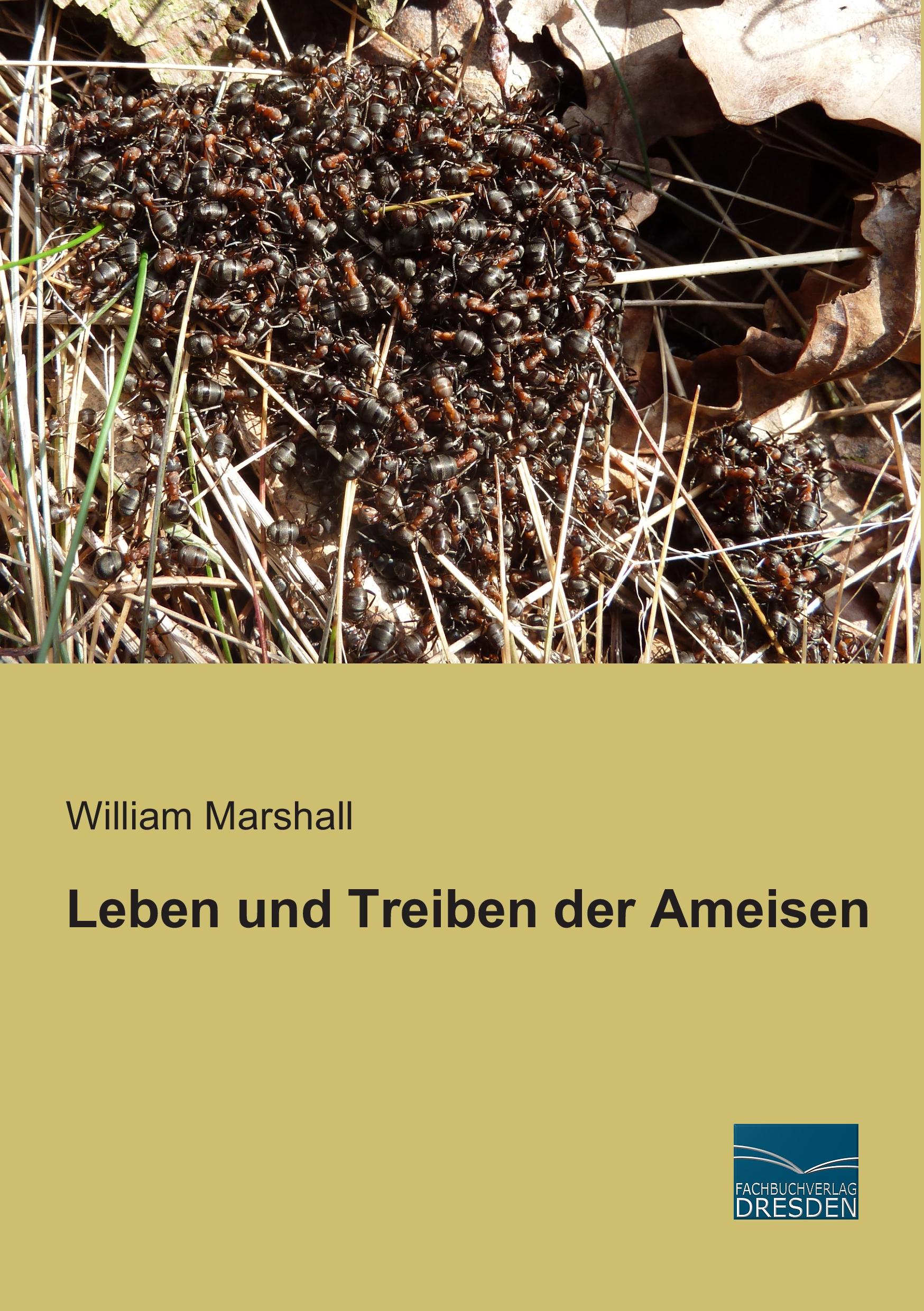 Vorderes Coverbild Leben und Treiben der Ameisen