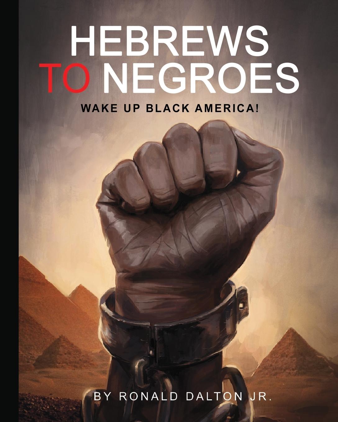 Vorderes Coverbild HEBREWS TO NEGROES