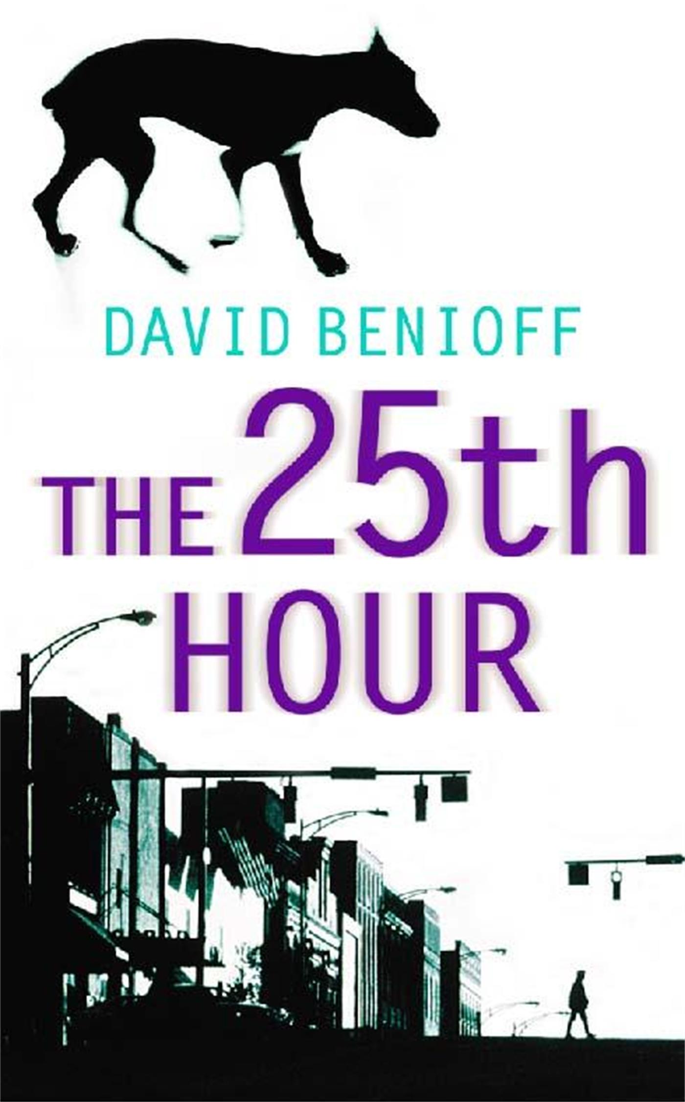 Vorderes Coverbild The 25th Hour