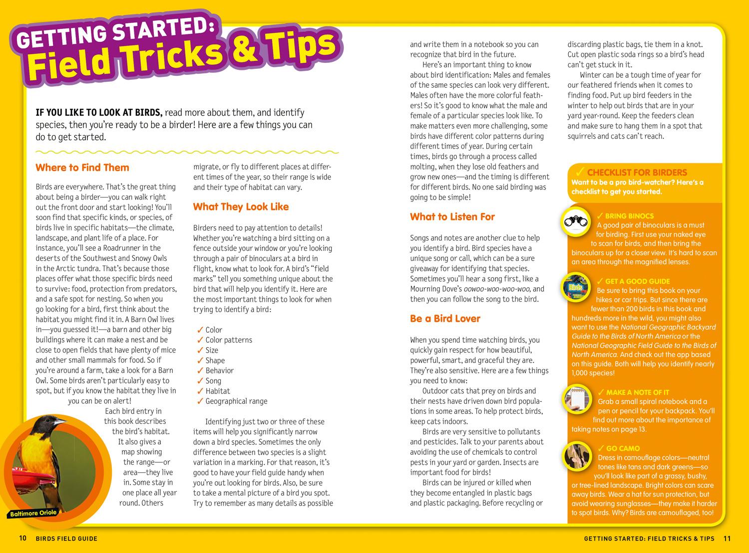 Beispielinhalt (Bild) Ultimate Explorer Field Guide: Birds