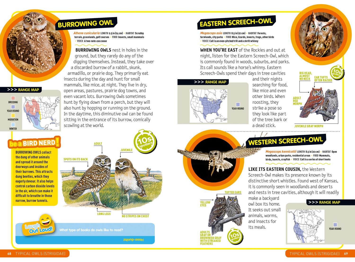 Beispielinhalt (Bild) Ultimate Explorer Field Guide: Birds