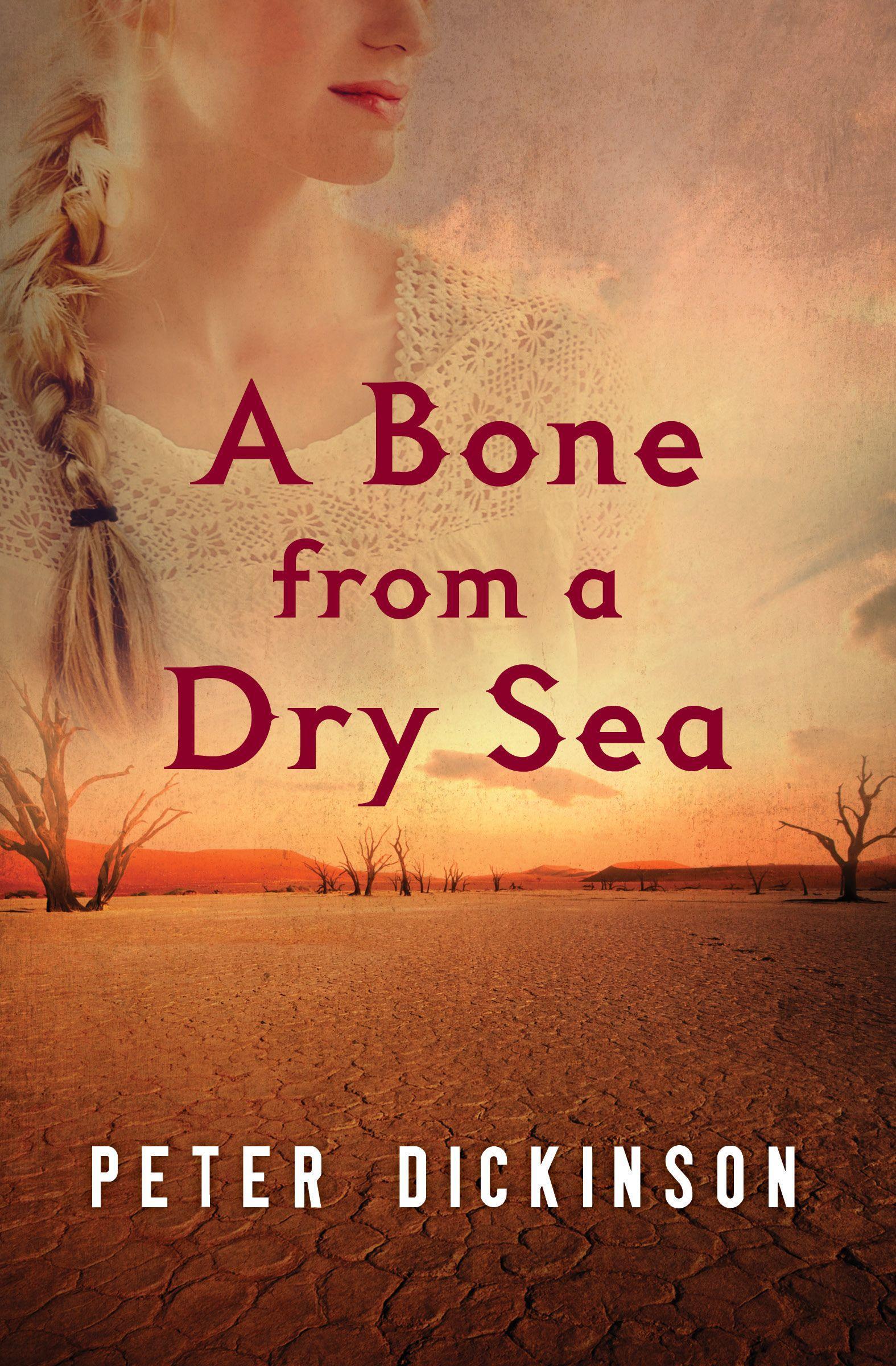 Vorderes Coverbild A Bone from a Dry Sea