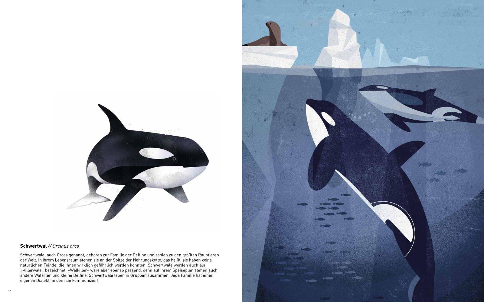 Beispielinhalt (Bild) Die Welt der wilden Tiere