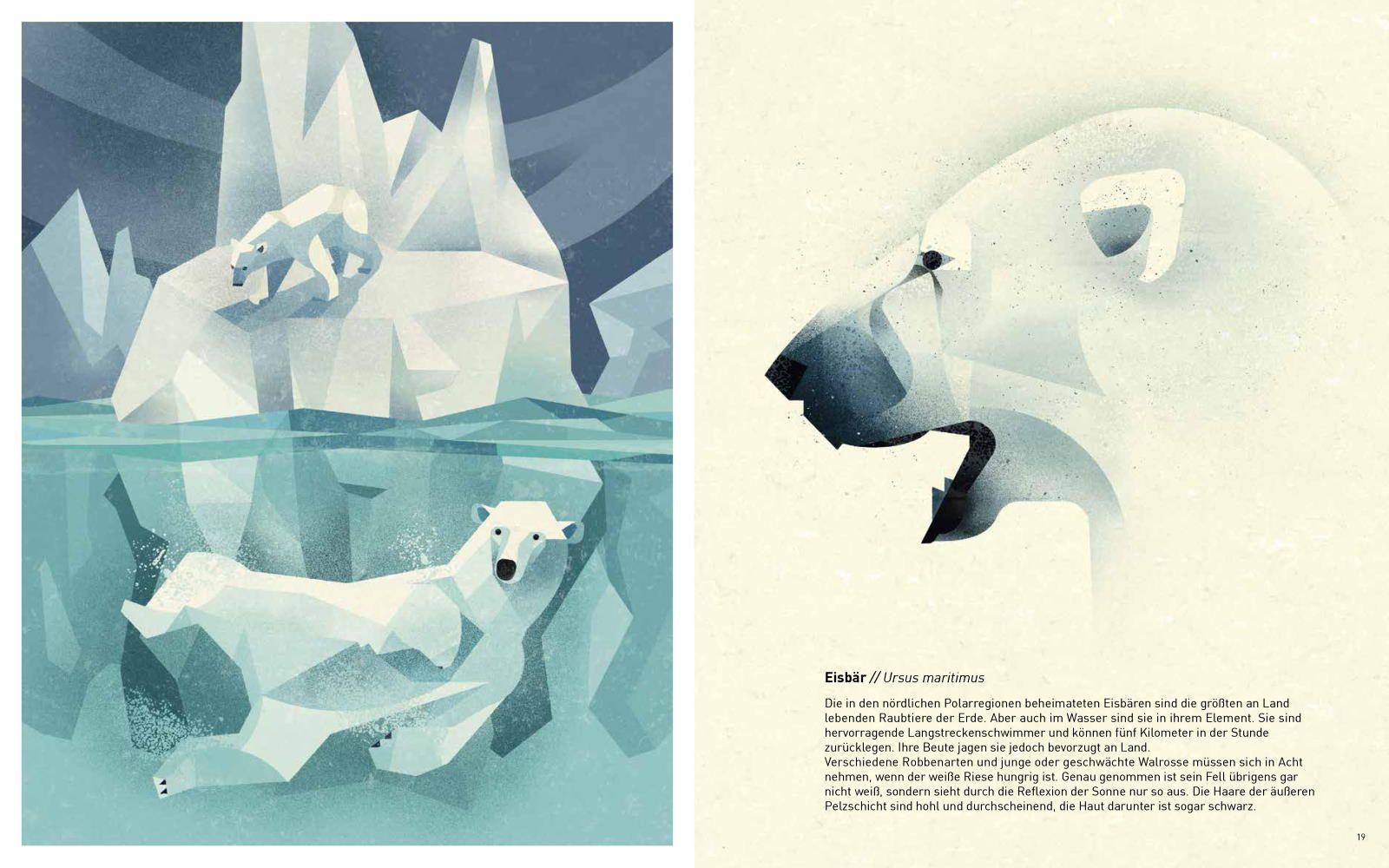 Beispielinhalt (Bild) Die Welt der wilden Tiere