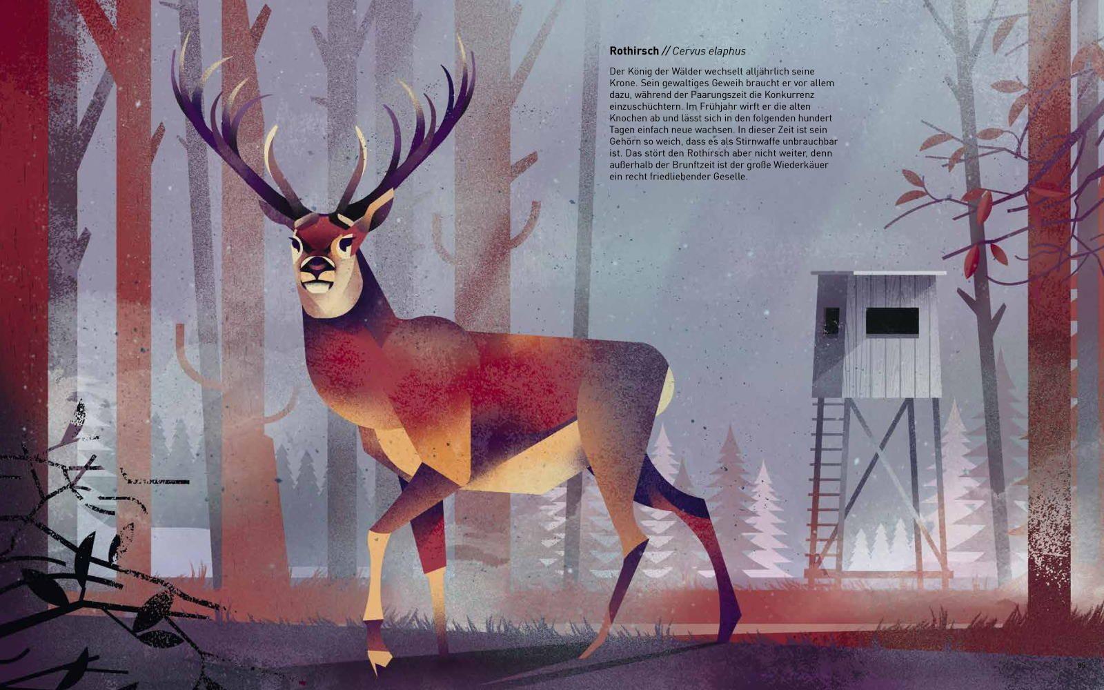 Beispielinhalt (Bild) Die Welt der wilden Tiere