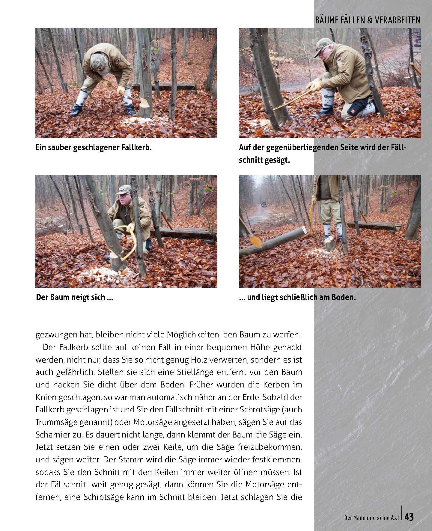 Beispielinhalt (Bild) Der Mann und seine Axt