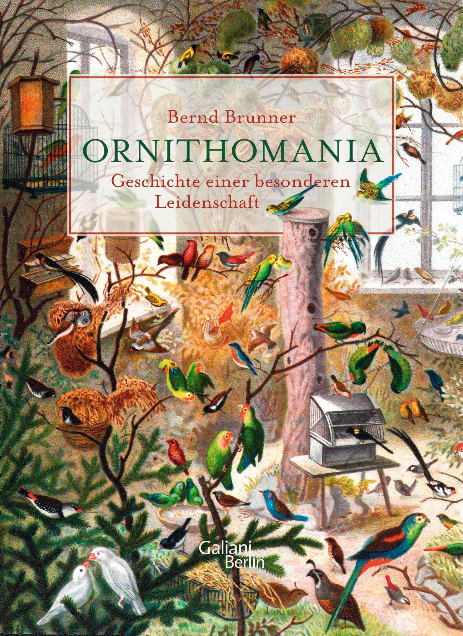 Vorderes Coverbild Ornithomania