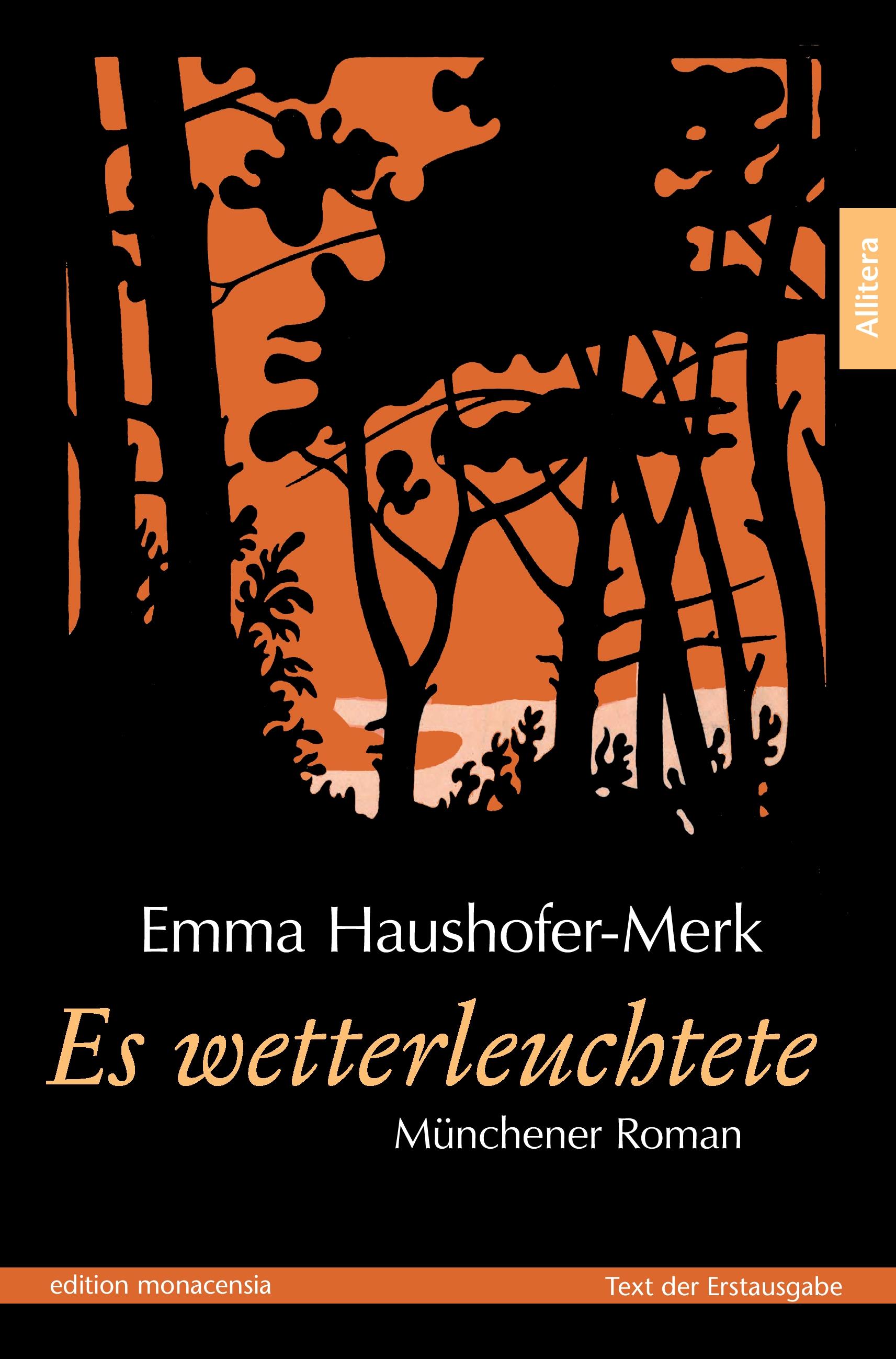 Vorderes Coverbild Es wetterleuchtete