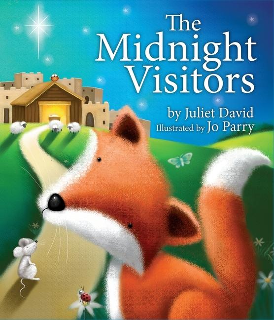 Vorderes Coverbild The Midnight Visitors