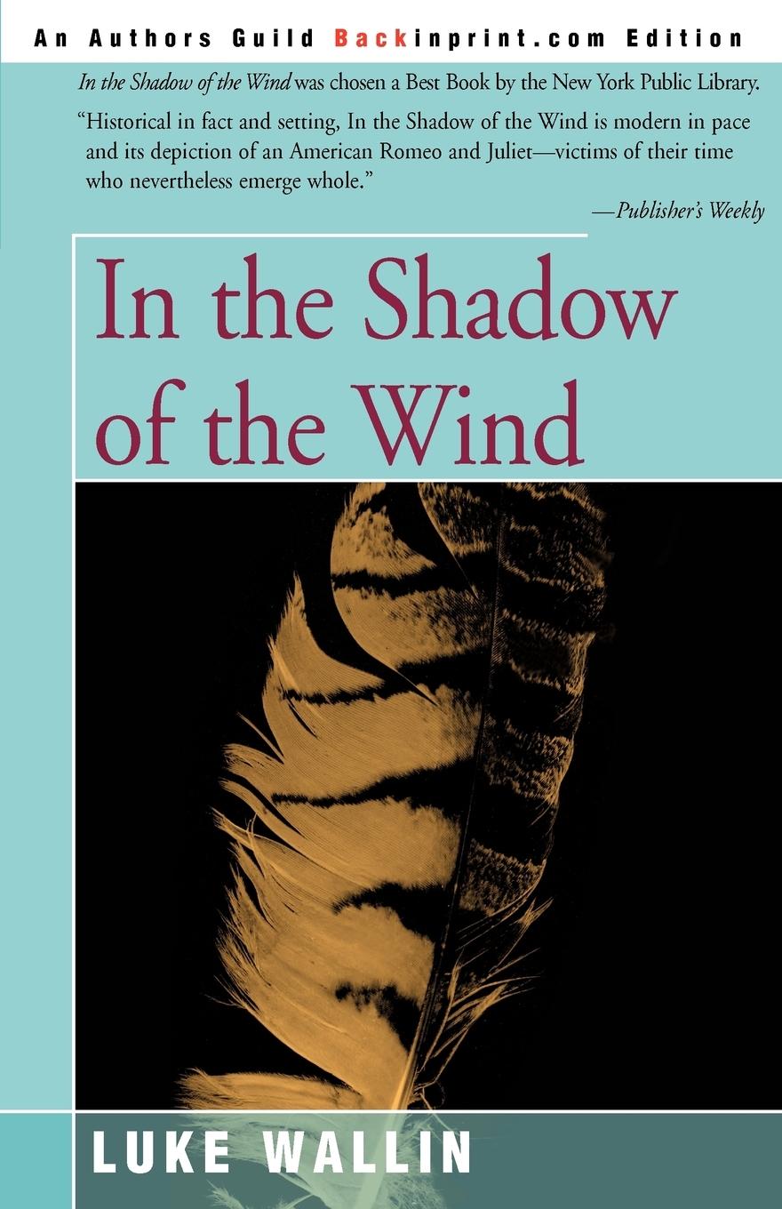 Vorderes Coverbild In the Shadow of the Wind
