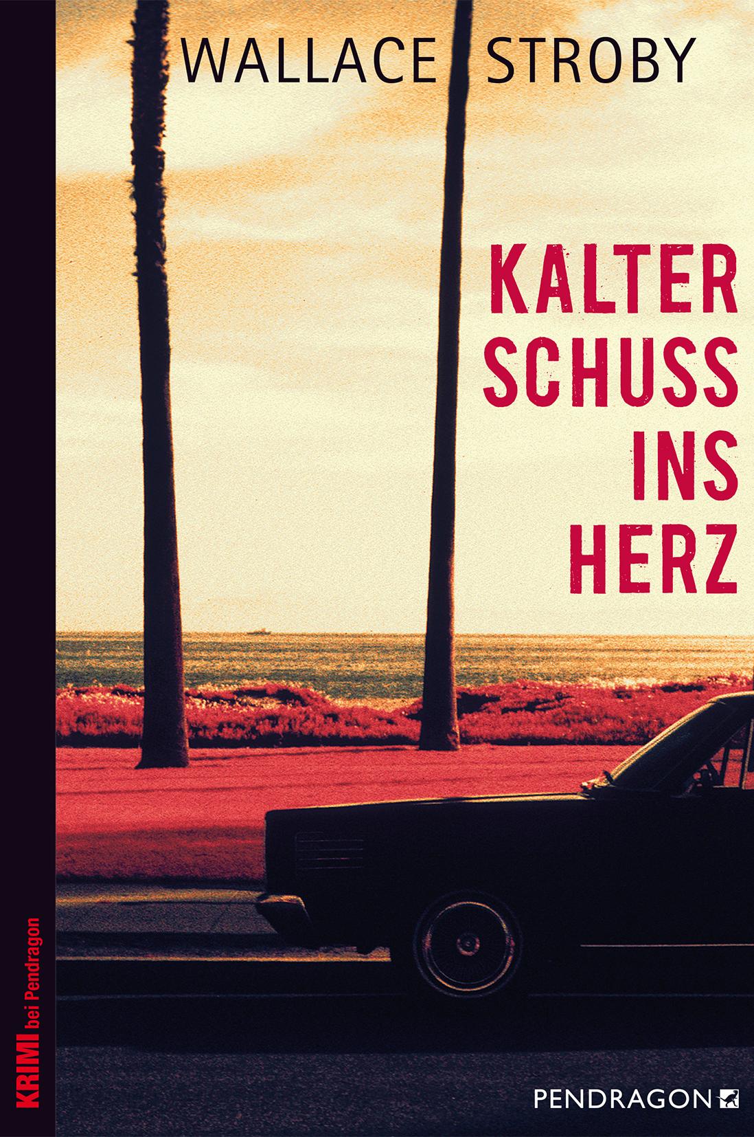 Vorderes Coverbild Kalter Schuss ins Herz