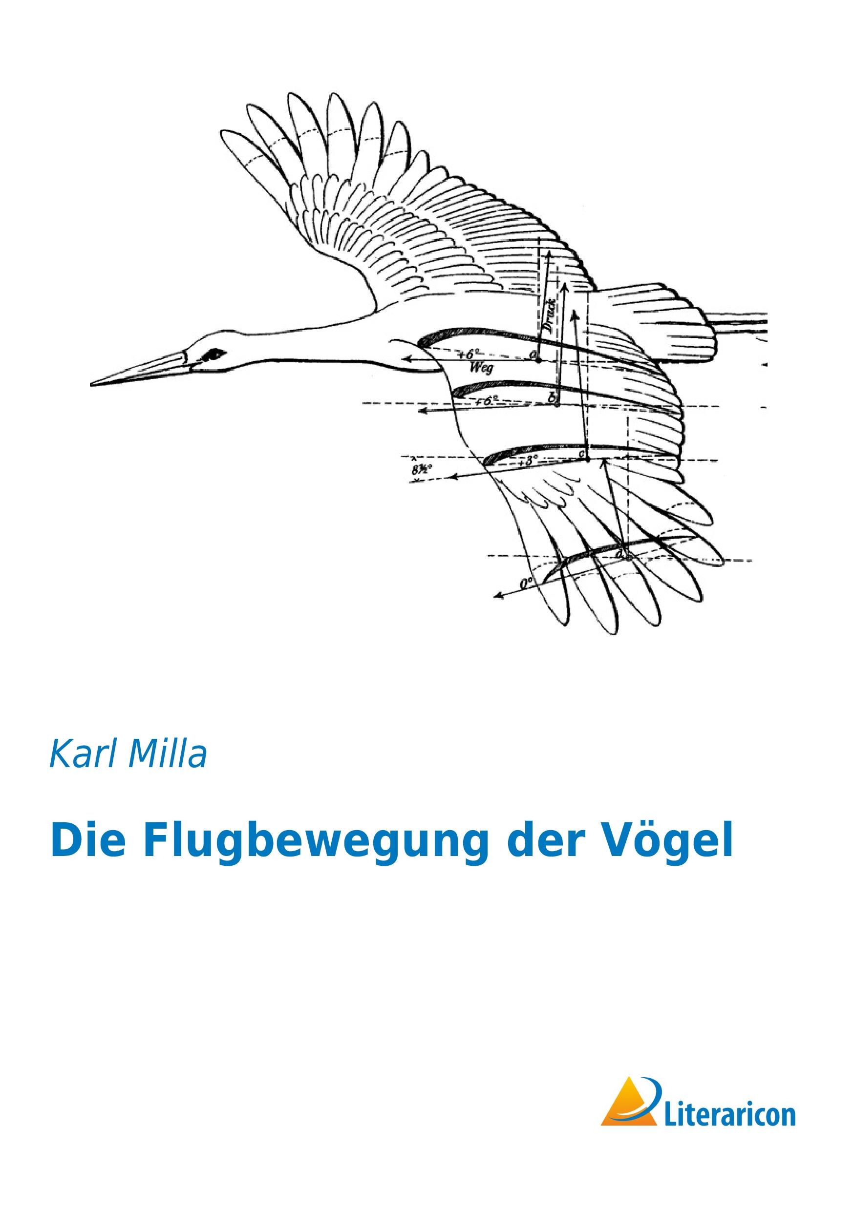 Vorderes Coverbild Die Flugbewegung der Vögel