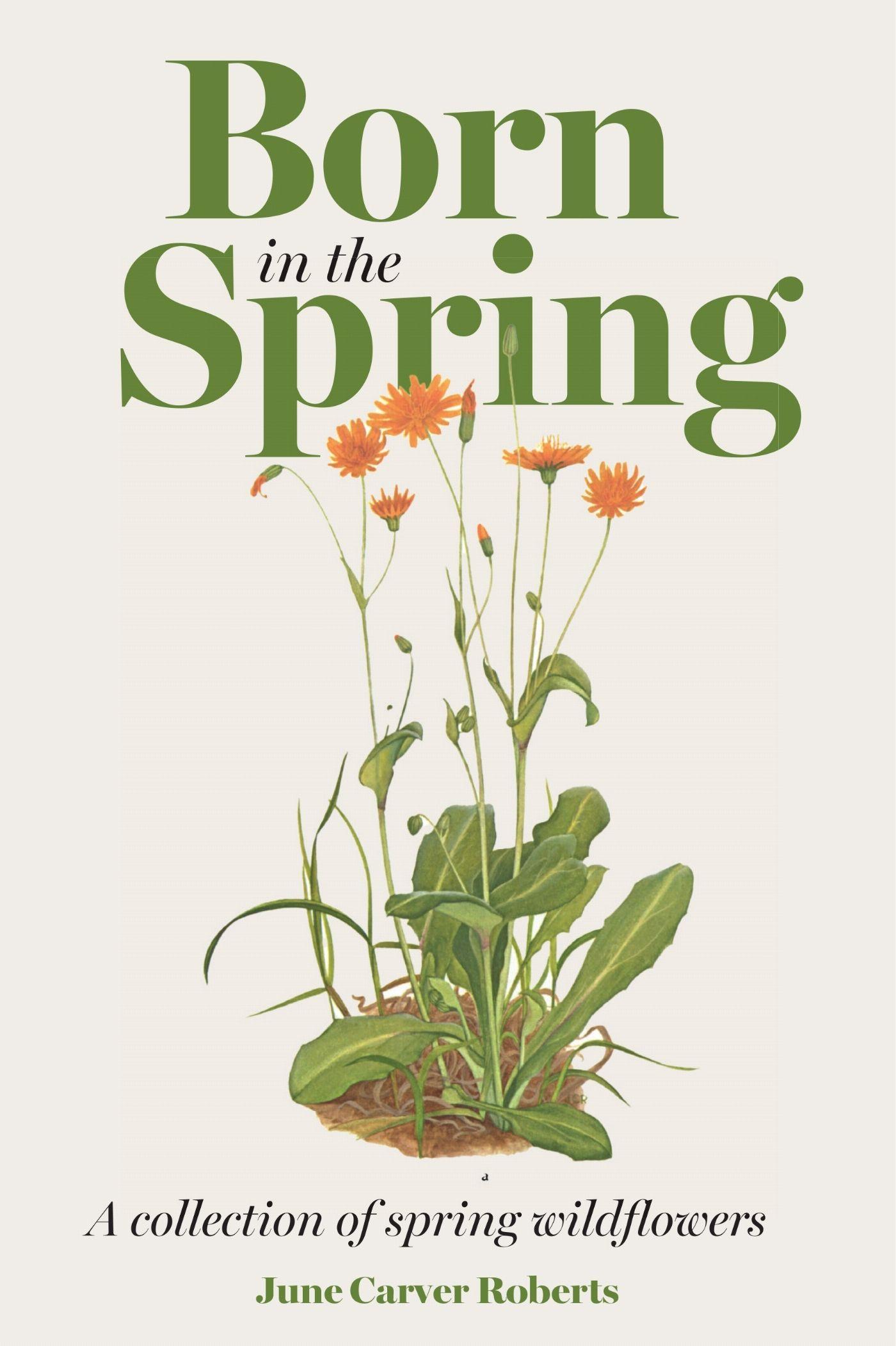 Vorderes Coverbild The Born in the Spring