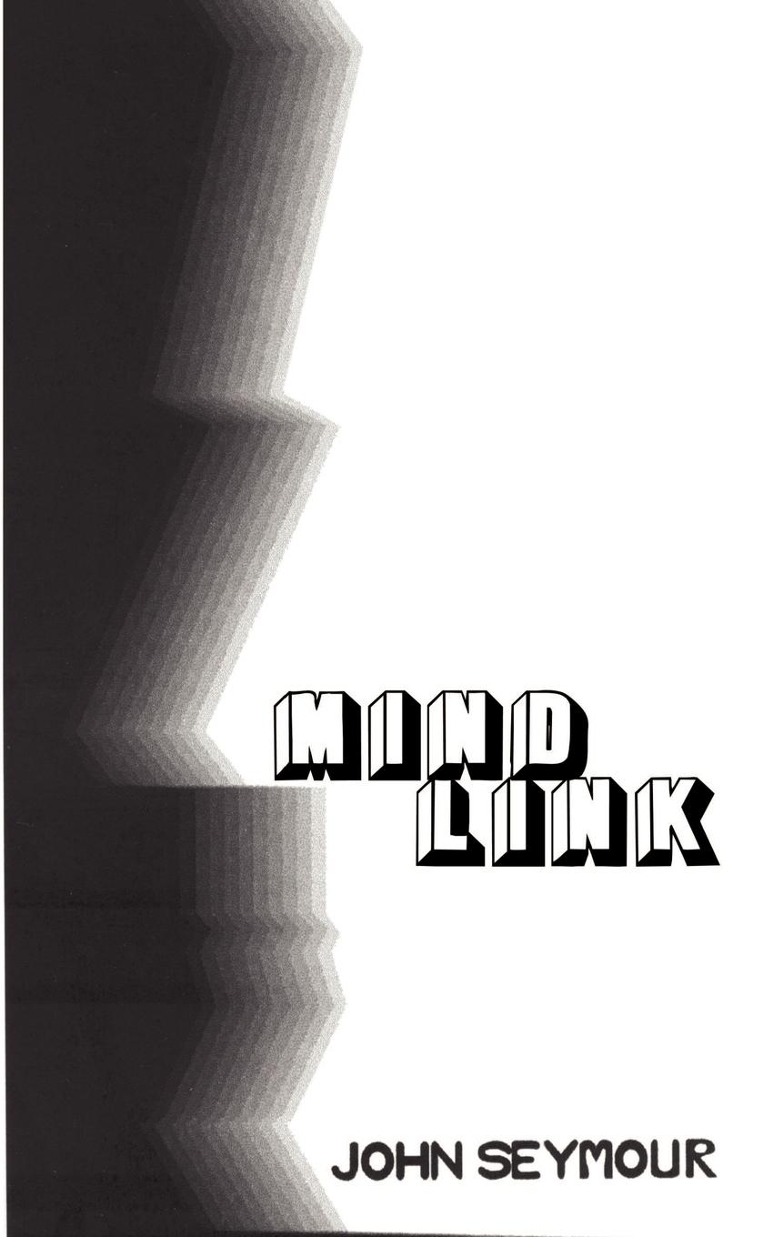 Vorderes Coverbild Mindlink