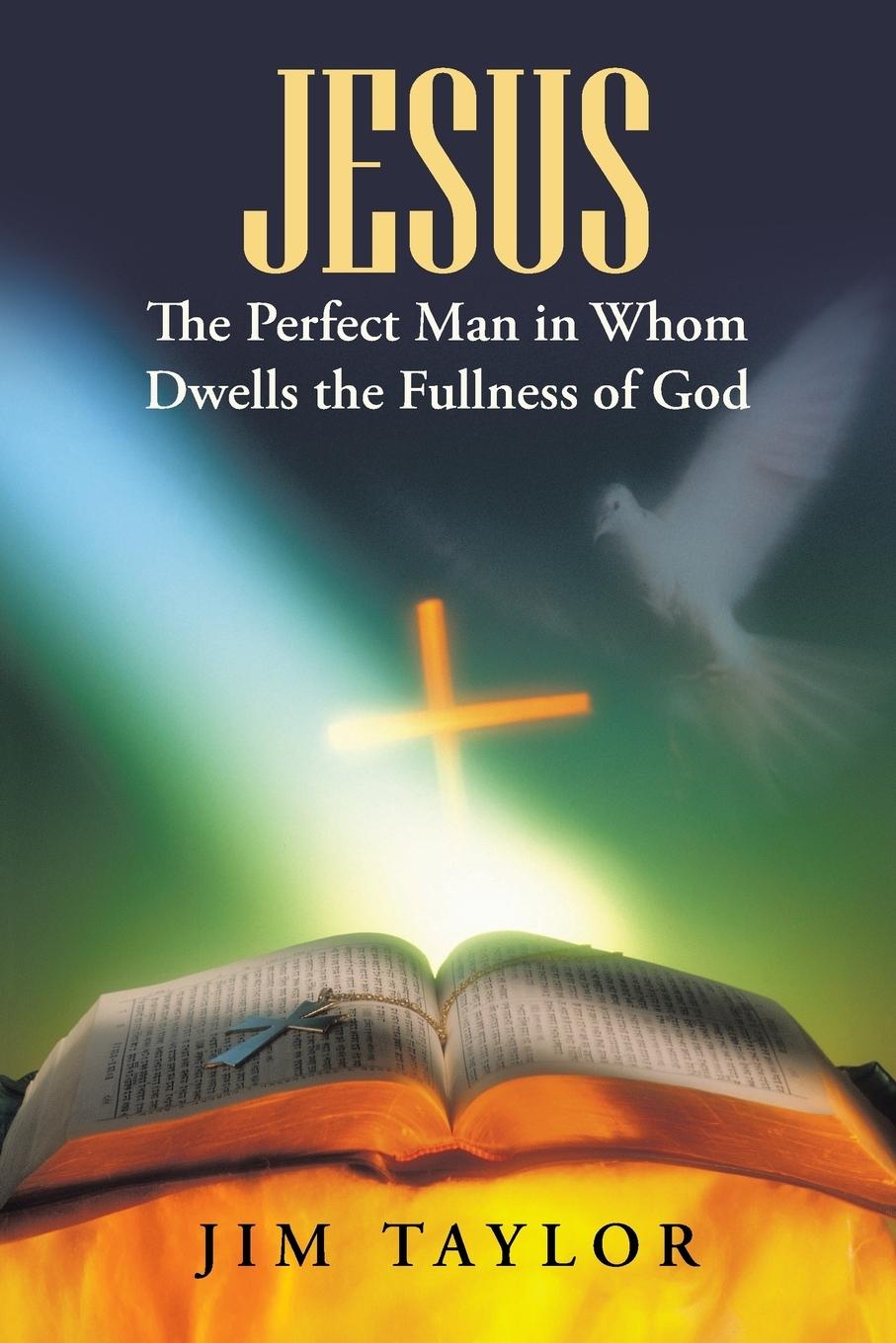 Vorderes Coverbild Jesus The Perfect Man in Whom Dwells the Fullness of God